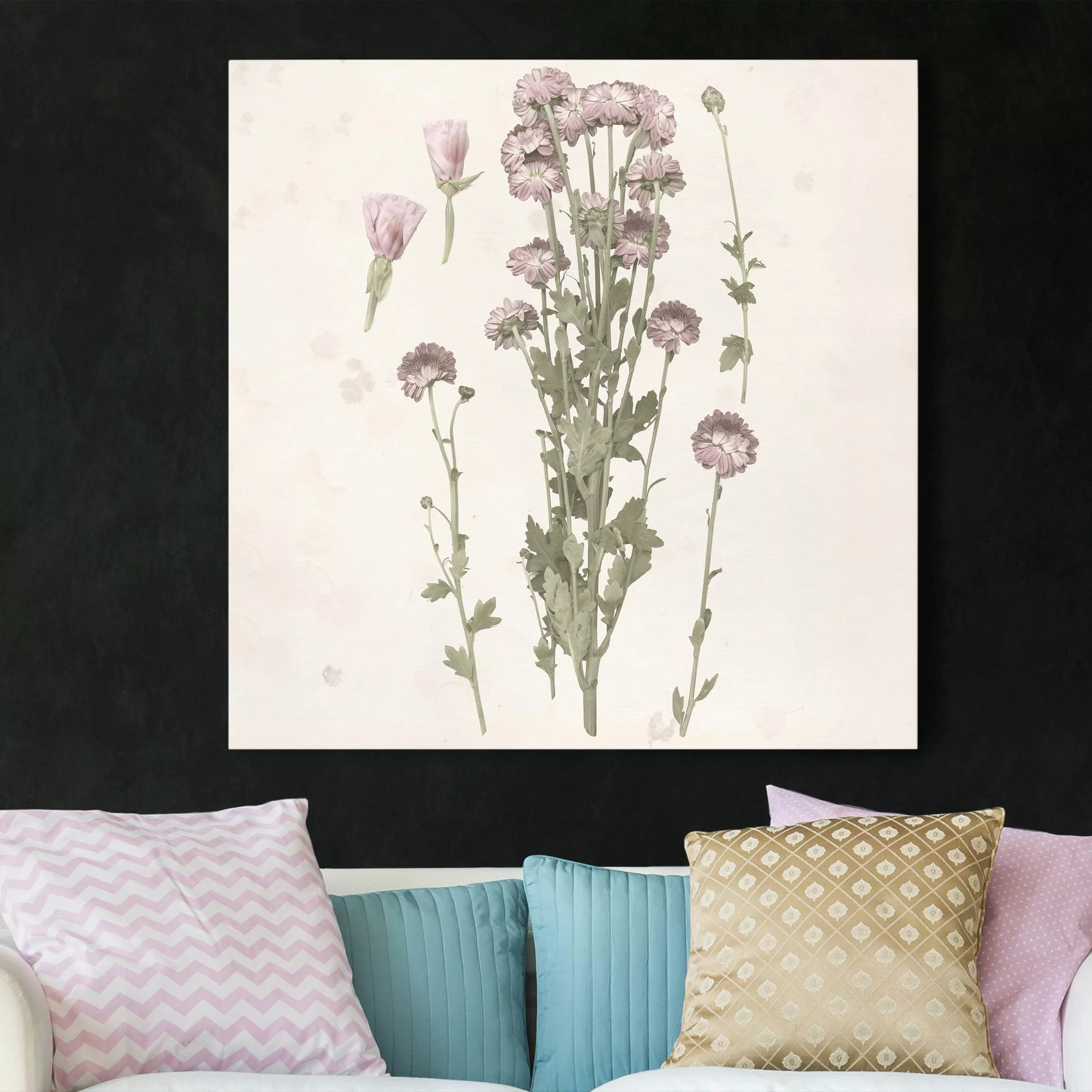 Leinwandbild Botanik - Quadrat Herbarium in rosa I günstig online kaufen