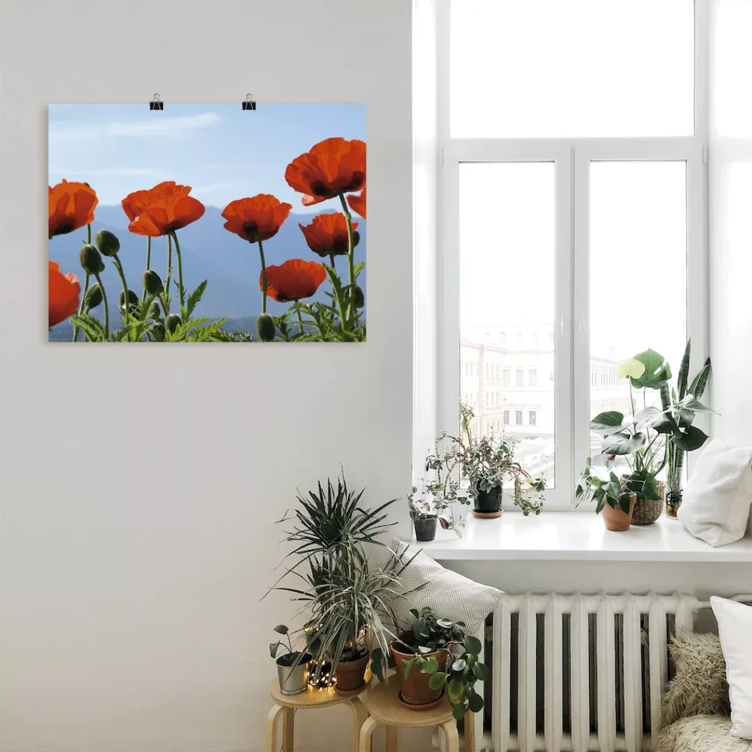 Artland Wandbild "Mohnblüten", Blumen, (1 St.), als Leinwandbild, Poster in günstig online kaufen