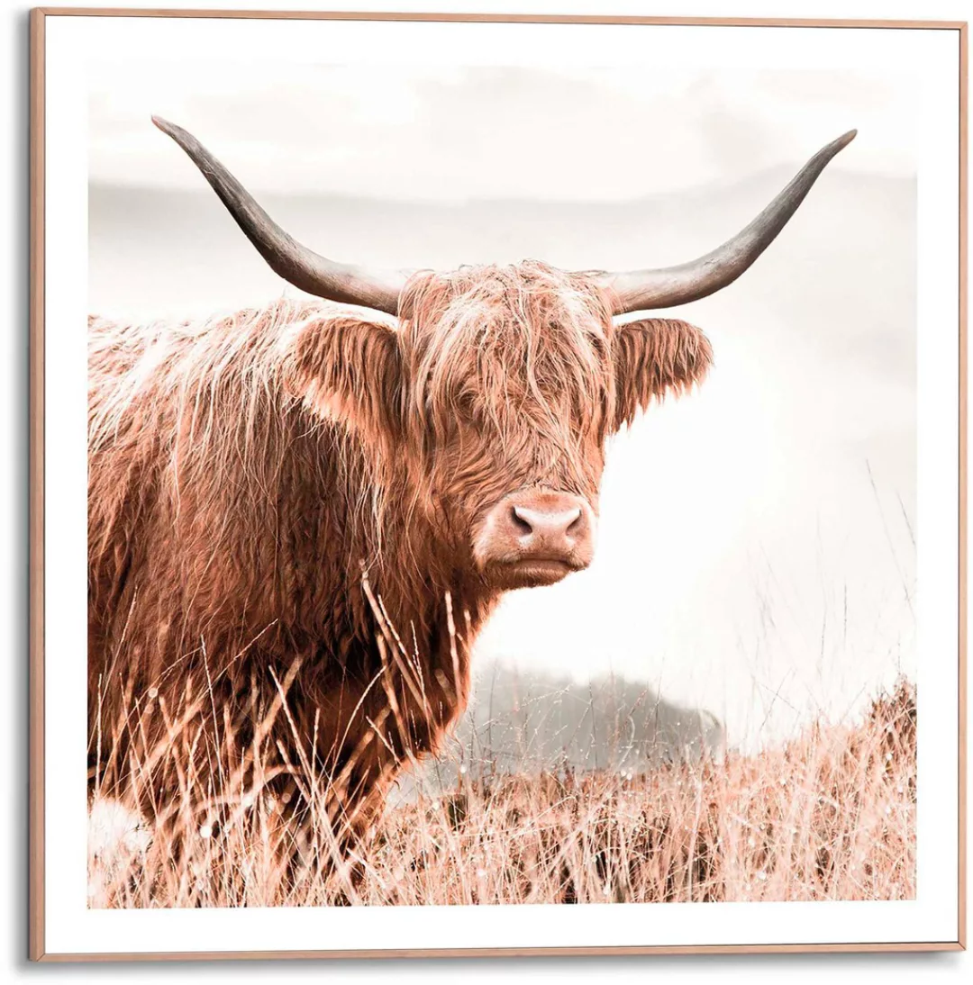 Reinders Poster "Highlander" günstig online kaufen