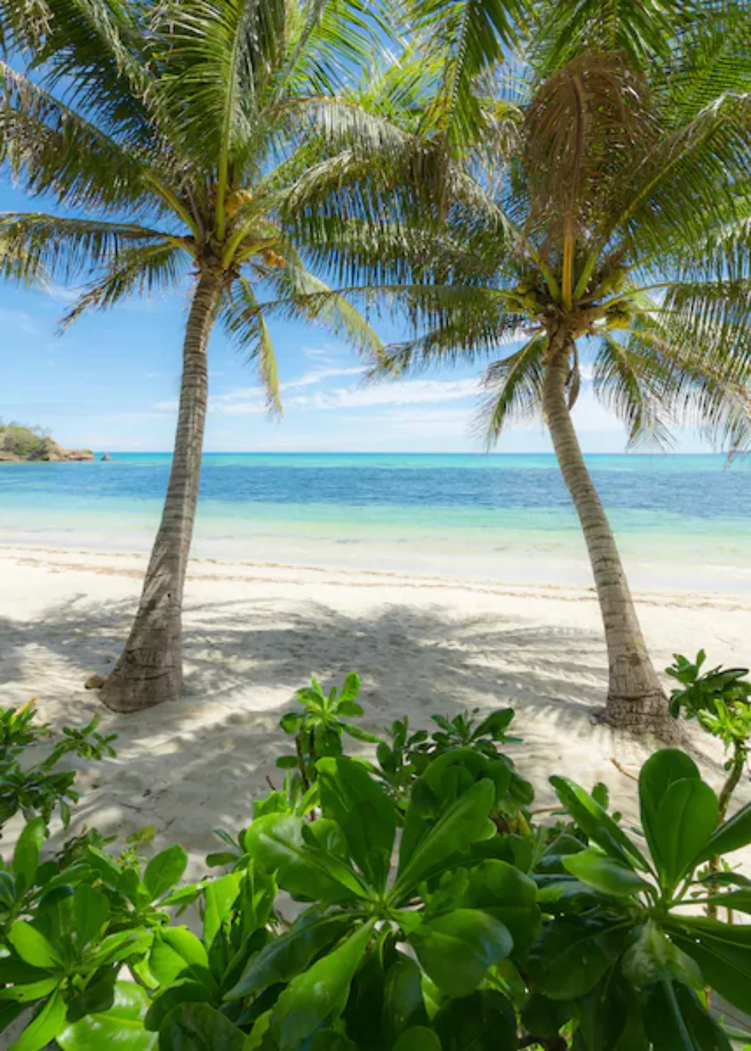 KOMAR Vlies Fototapete - Palmy Beach - Größe 200 x 280 cm mehrfarbig günstig online kaufen