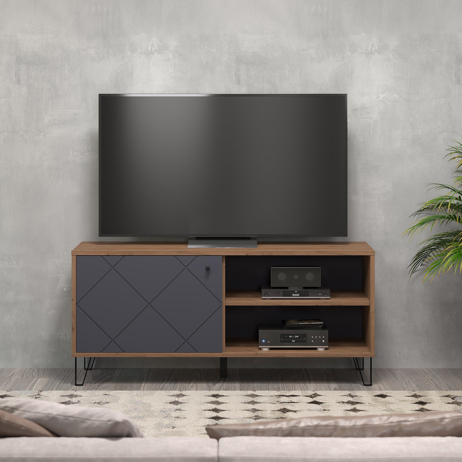 trendteam TV-Board, TV-Möbel Fernsehschrank Lowboard HiFi günstig online kaufen
