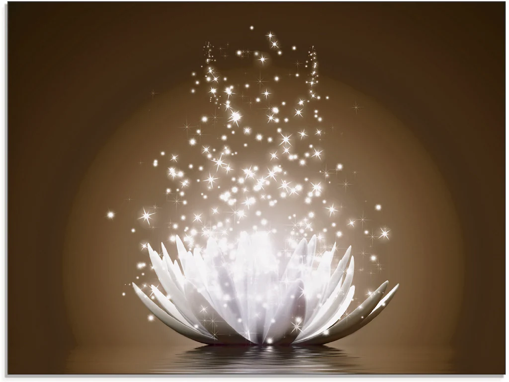 Artland Glasbild "Magie der Lotus-Blume", Blumen, (1 St.), in verschiedenen günstig online kaufen