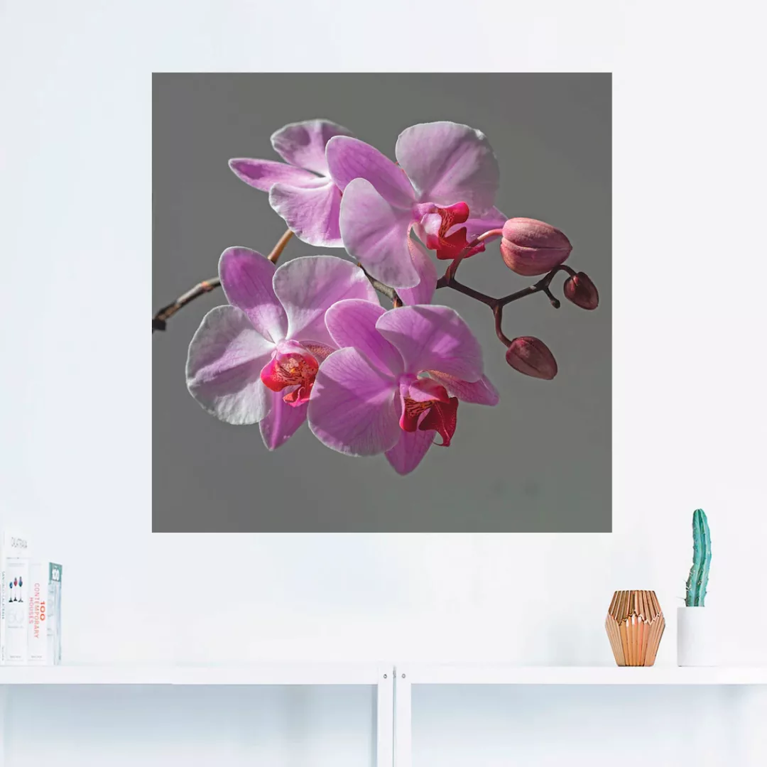 Artland Wandbild "Orchideentraum", Blumen, (1 St.), als Leinwandbild, Wanda günstig online kaufen