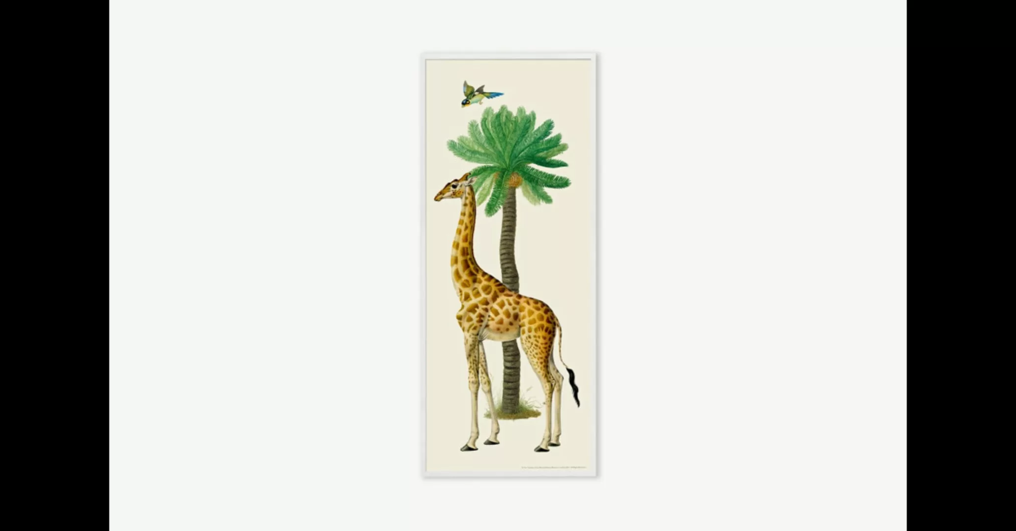 Natural History Museum 'Vintage Giraffe' gerahmter Kunstdruck (40 x 100 cm) günstig online kaufen