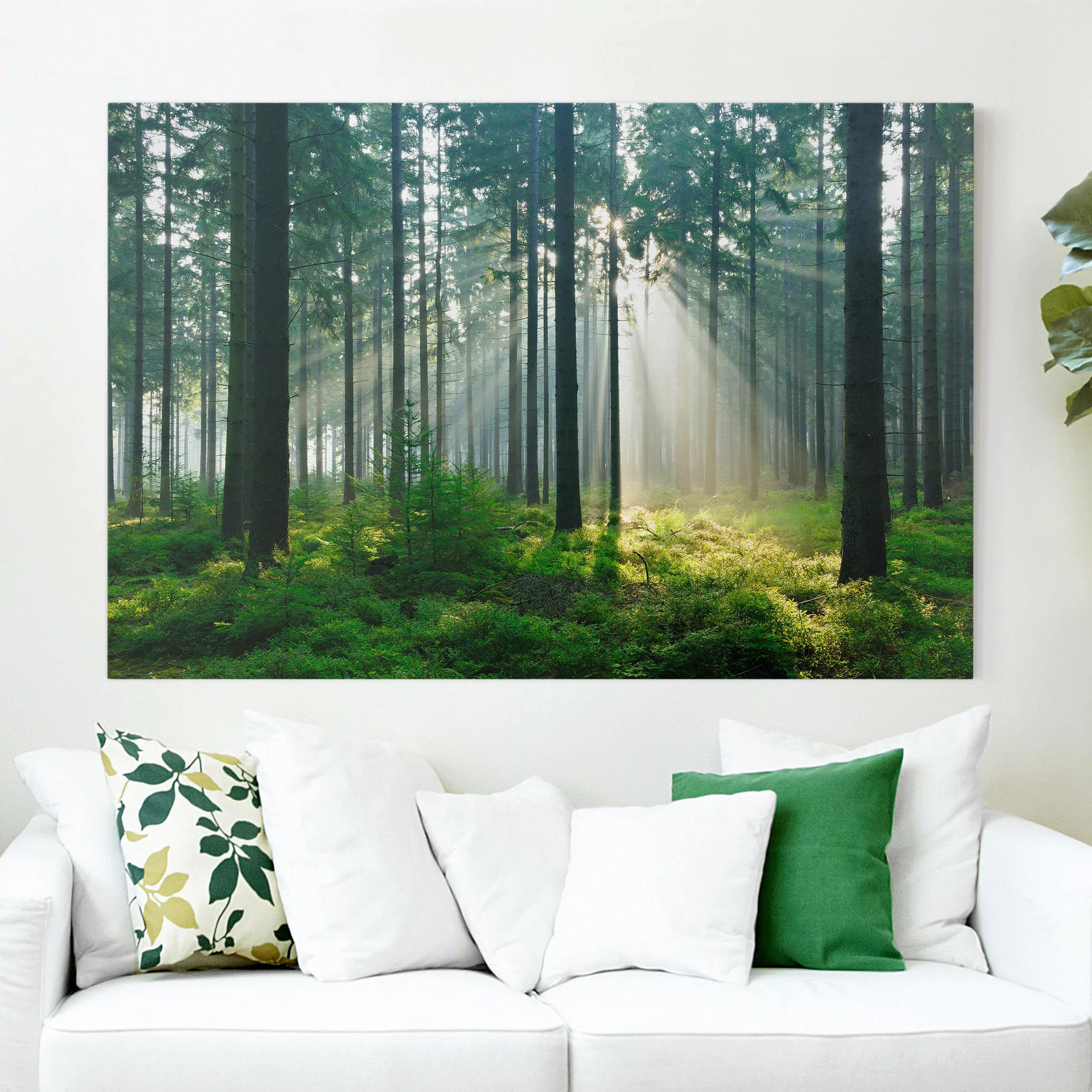 Leinwandbild Wald - Querformat Enlightened Forest günstig online kaufen