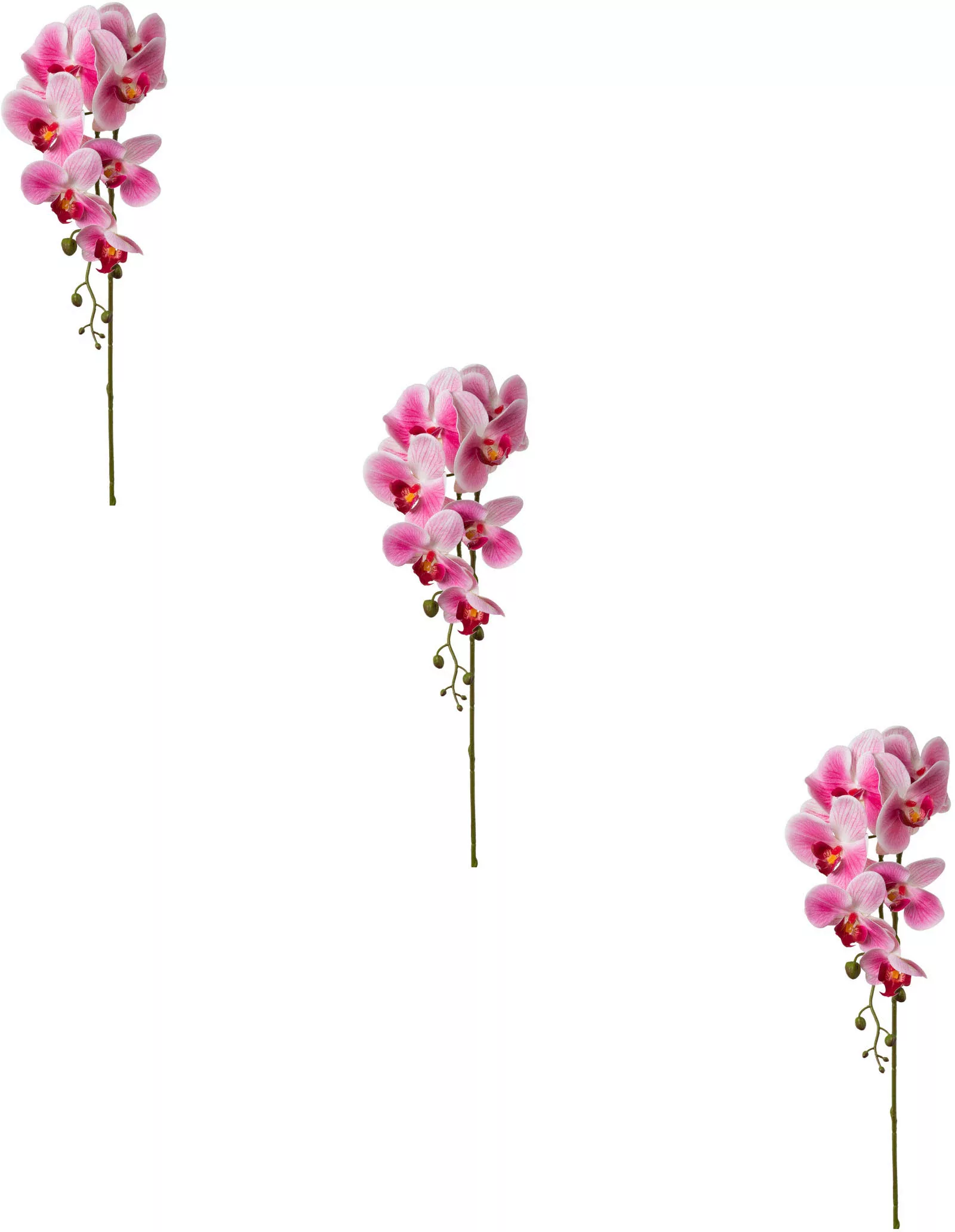 Creativ green Kunstblume "Orchidee Phalaenopsis" günstig online kaufen