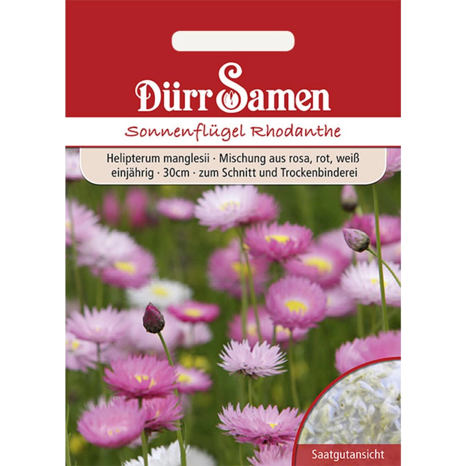 Dürr Samen Sonnenflügel Einjährig Saatgut günstig online kaufen