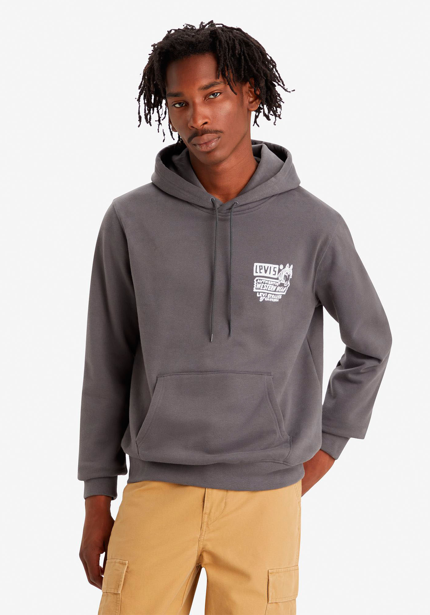 Levi's® Kapuzensweatshirt STANDARD GRAPHIC HOODIE BLACKS günstig online kaufen