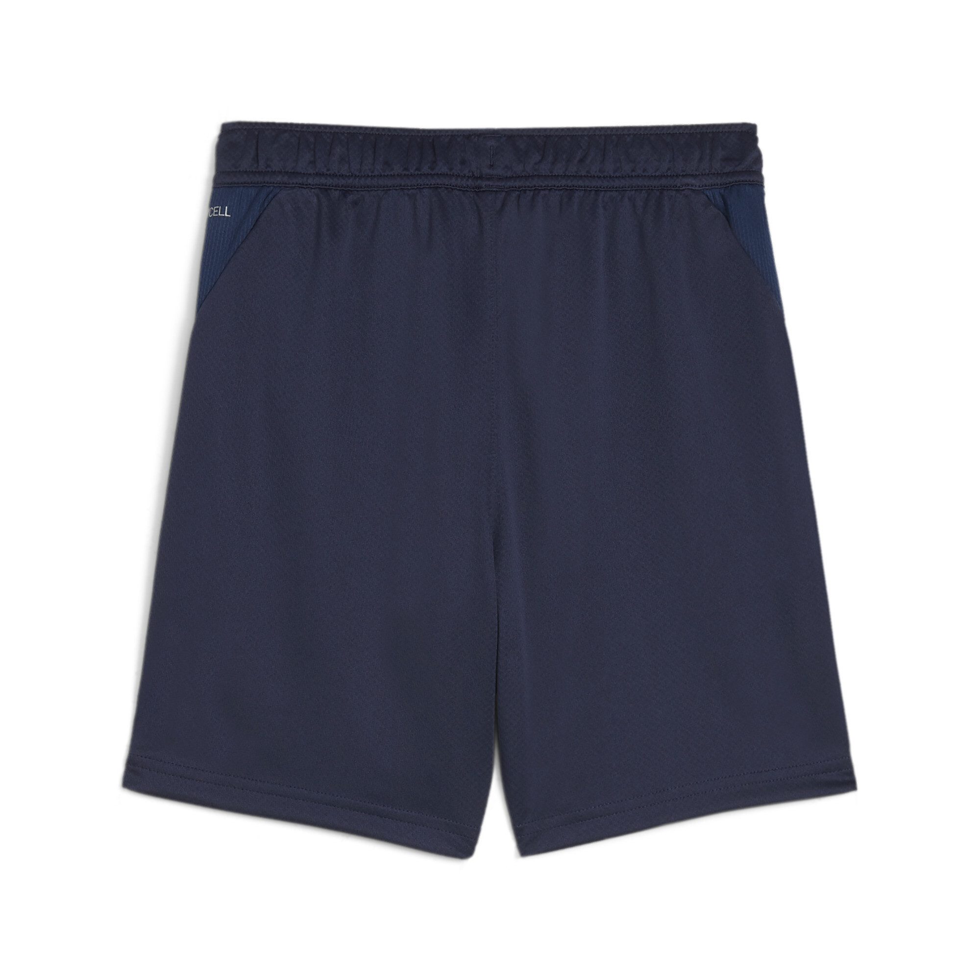 PUMA Trainingsshorts TEAMGOAL TRAINING SHORT JR günstig online kaufen