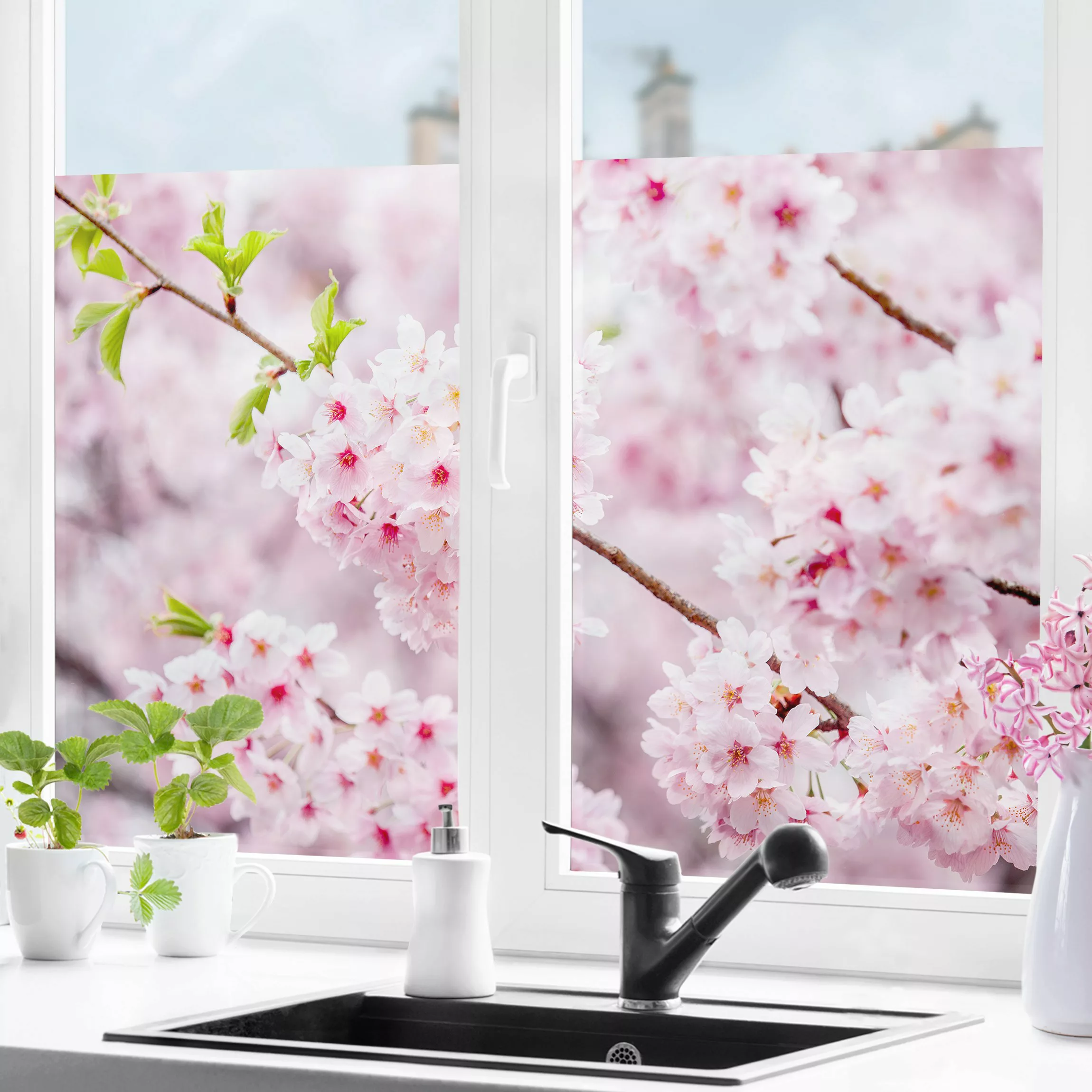 Fensterfolie Japanische Kirschblüten günstig online kaufen