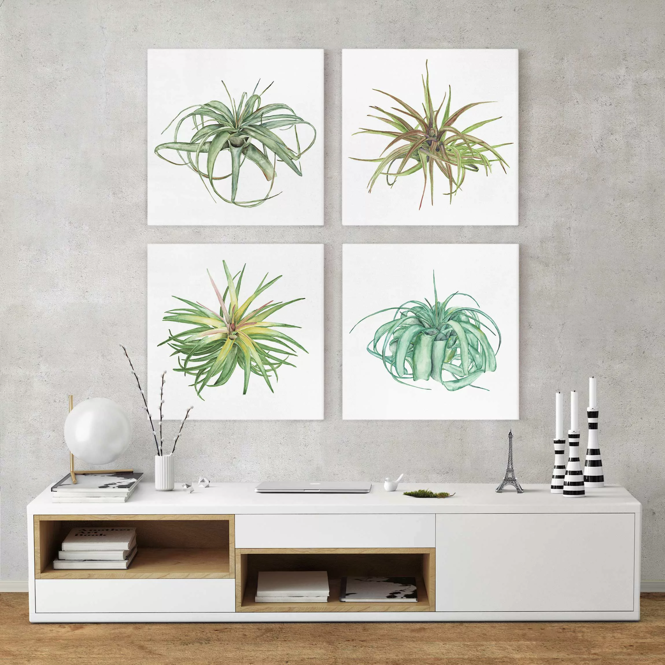 4-teiliges Leinwandbild Botanik - Quadrat Luftpflanze Aquarell Set I günstig online kaufen