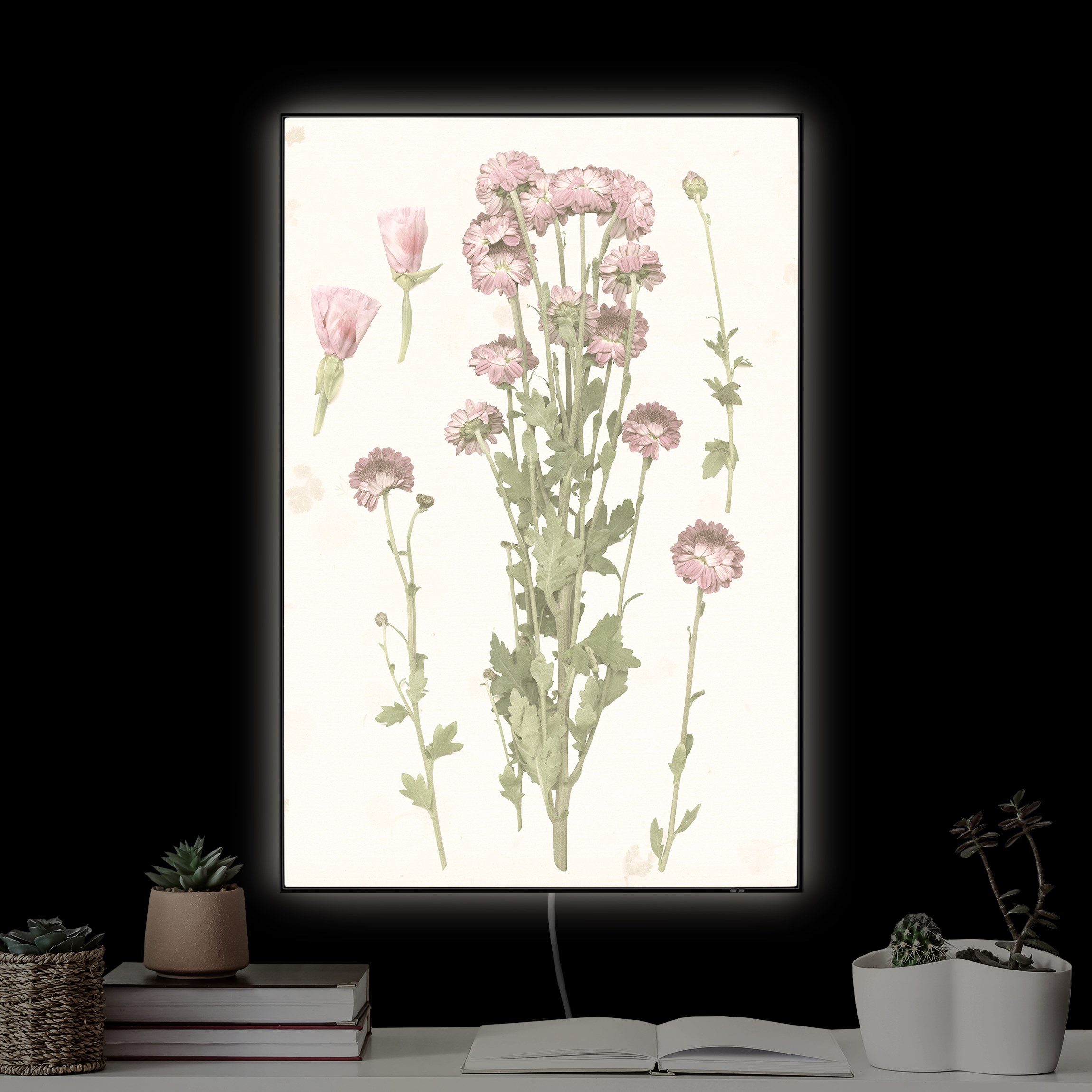 LED-Wechselbild Herbarium in rosa I günstig online kaufen