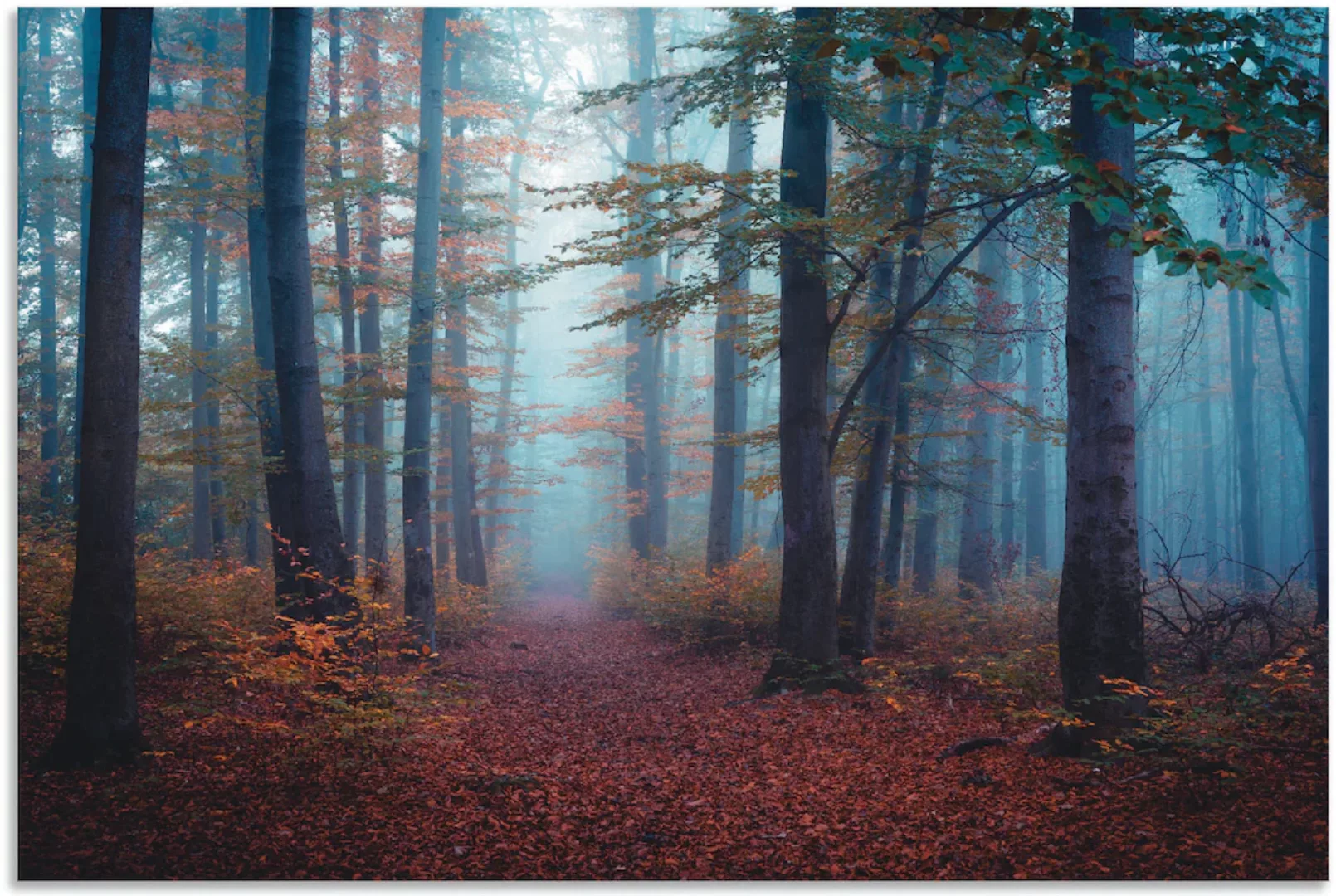 Artland Wandbild »Wald im Nebel«, Waldbilder, (1 St.), als Alubild, Outdoor günstig online kaufen