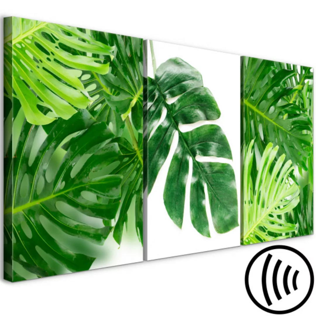 Leinwandbild Palm Leaves (3 Parts) XXL günstig online kaufen