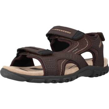 Geox  Sandalen UOMO SANDAL STRADA günstig online kaufen