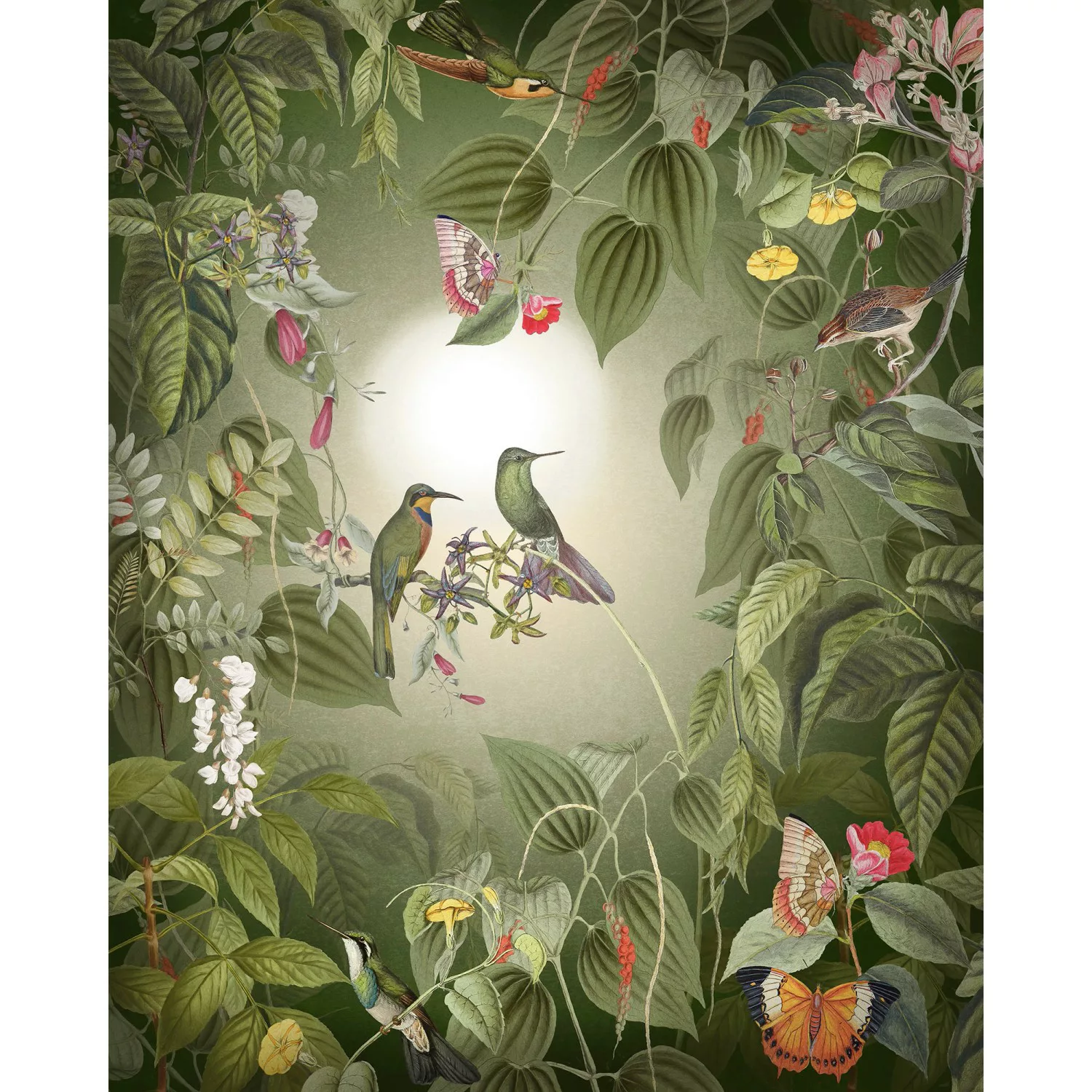 KOMAR Vlies Fototapete - Wildlife Birds  - Größe 200 x 250 cm mehrfarbig günstig online kaufen