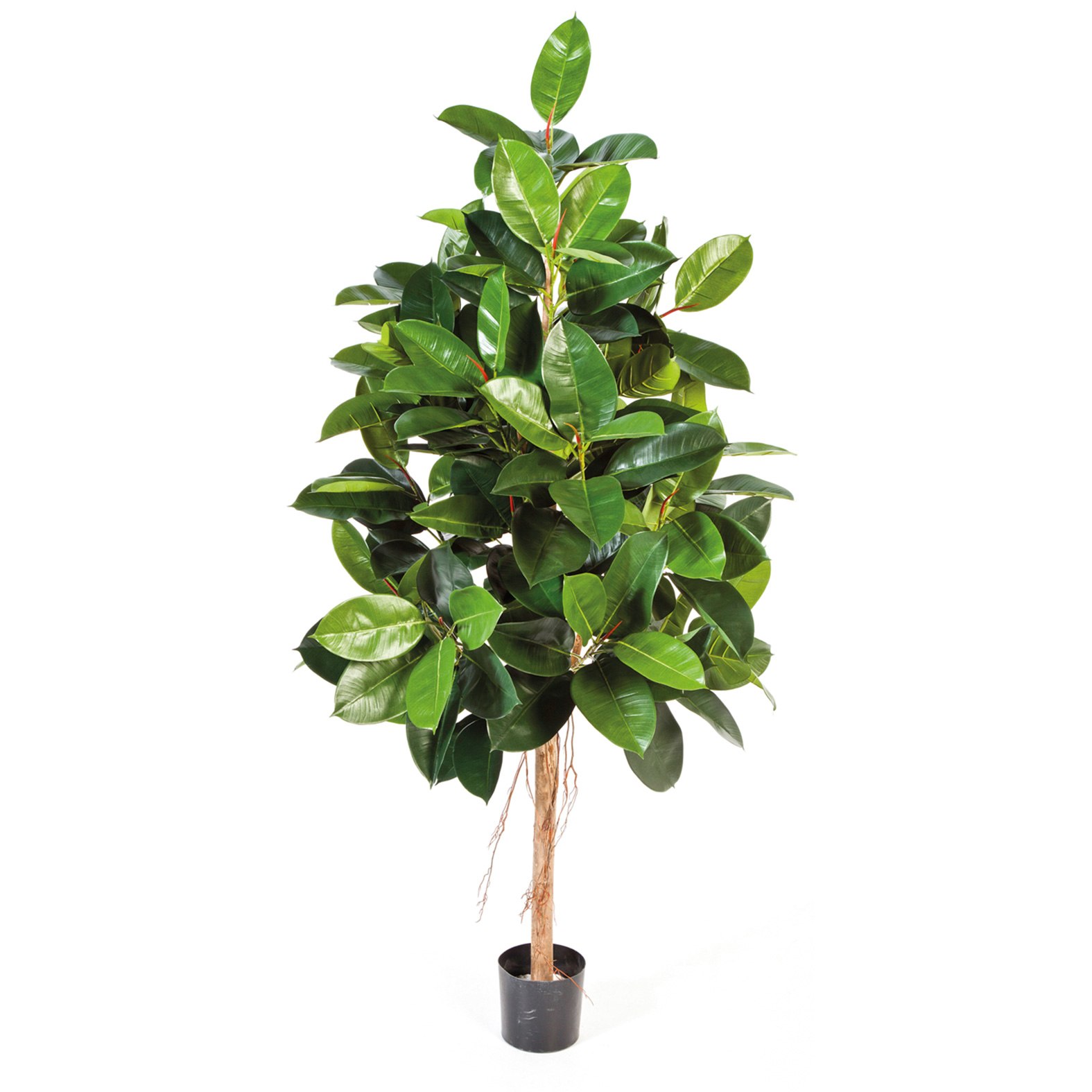 Ficus Elastica Kunstpflanze 180 cm günstig online kaufen