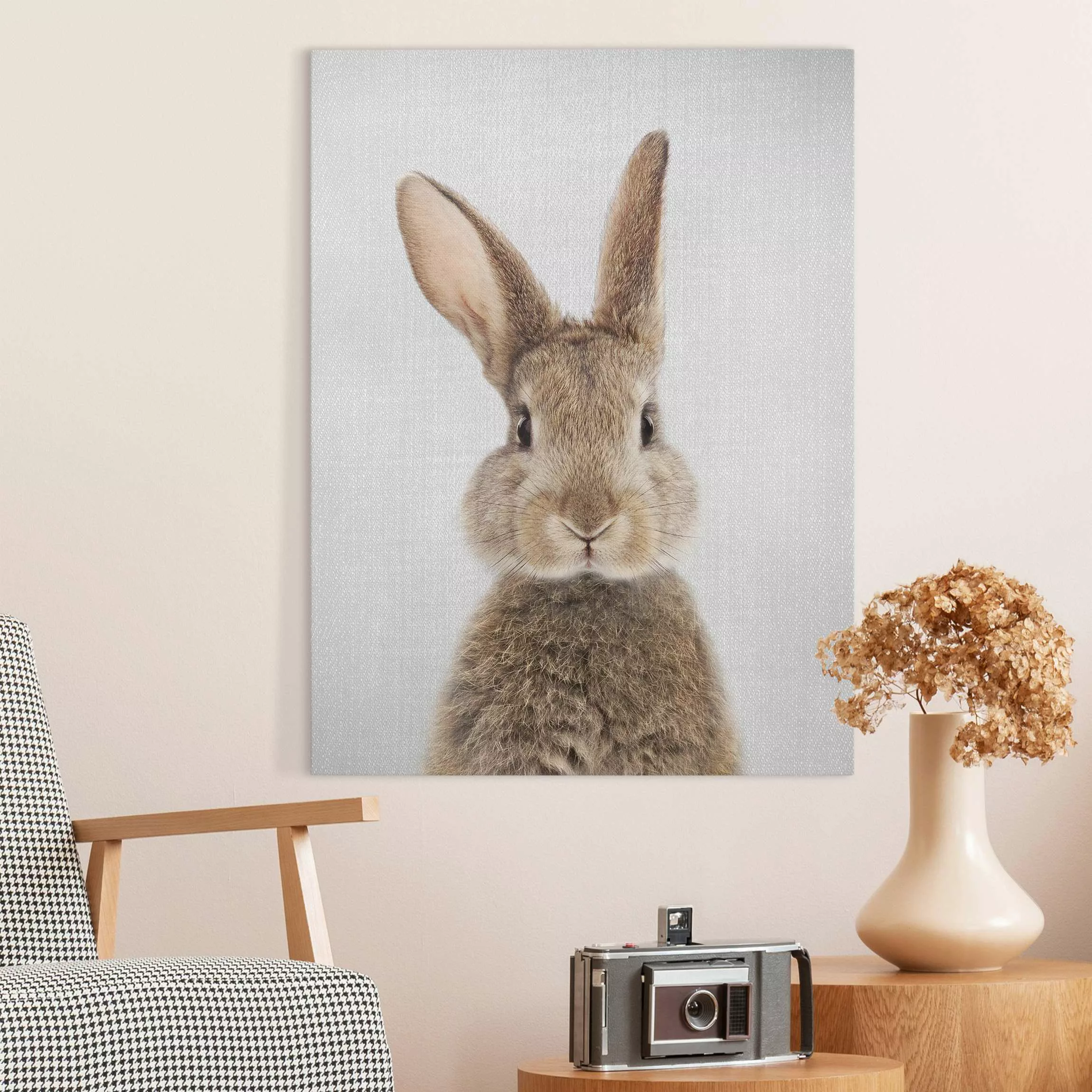 Leinwandbild Hase Hilbert günstig online kaufen