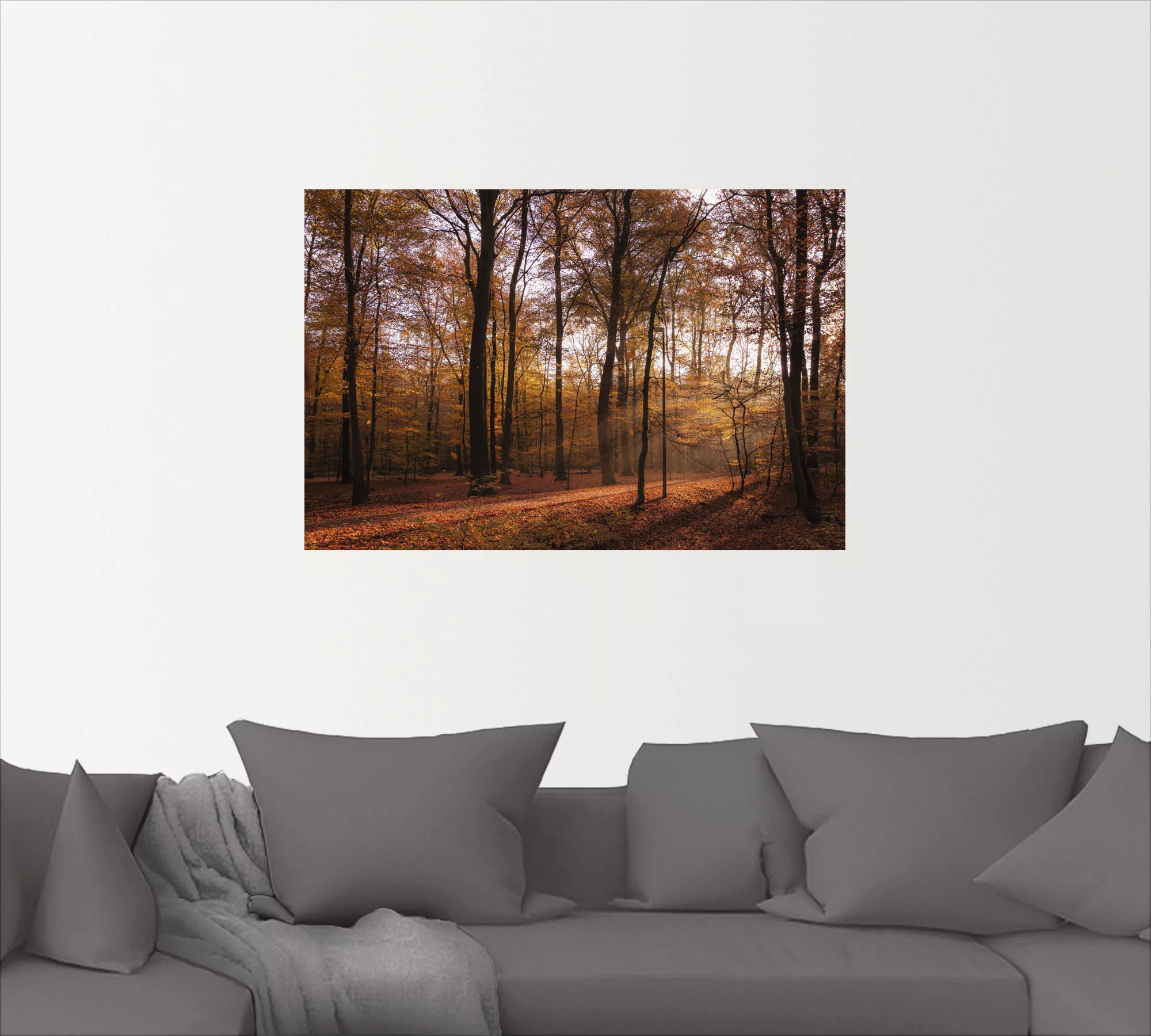 Artland Wandbild "Sonnenaufgang im Herbst II", Wald, (1 St.), als Alubild, günstig online kaufen