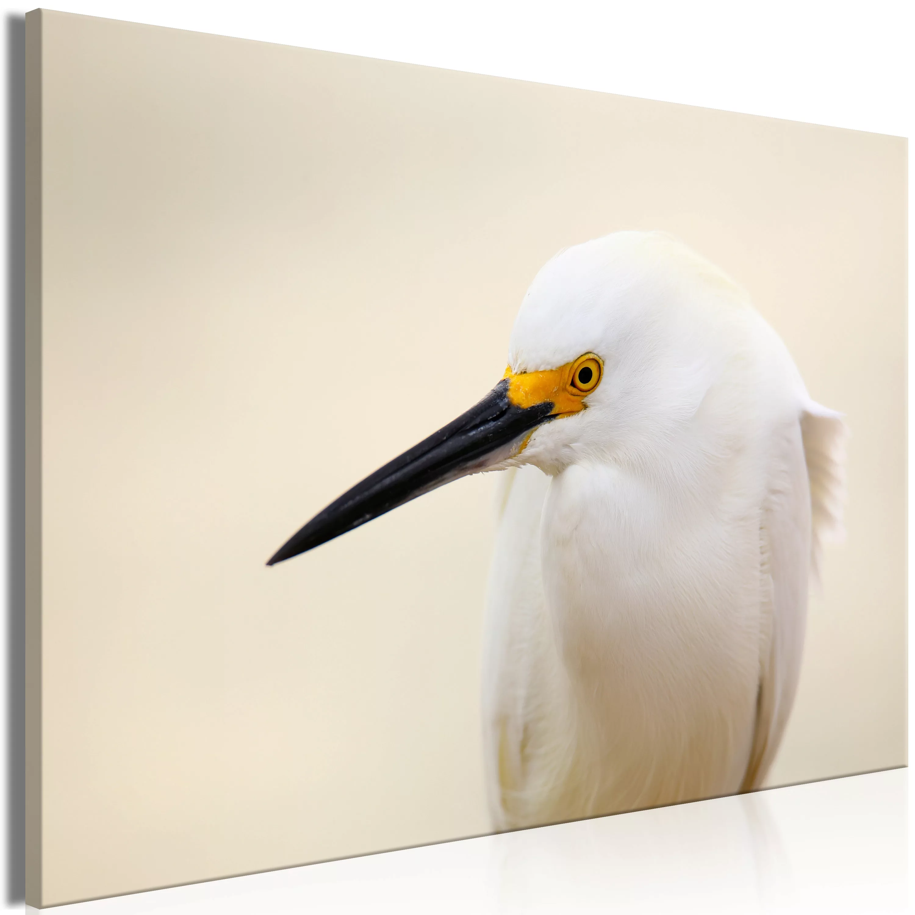 Wandbild - Snowy Egret (1 Part) Wide günstig online kaufen