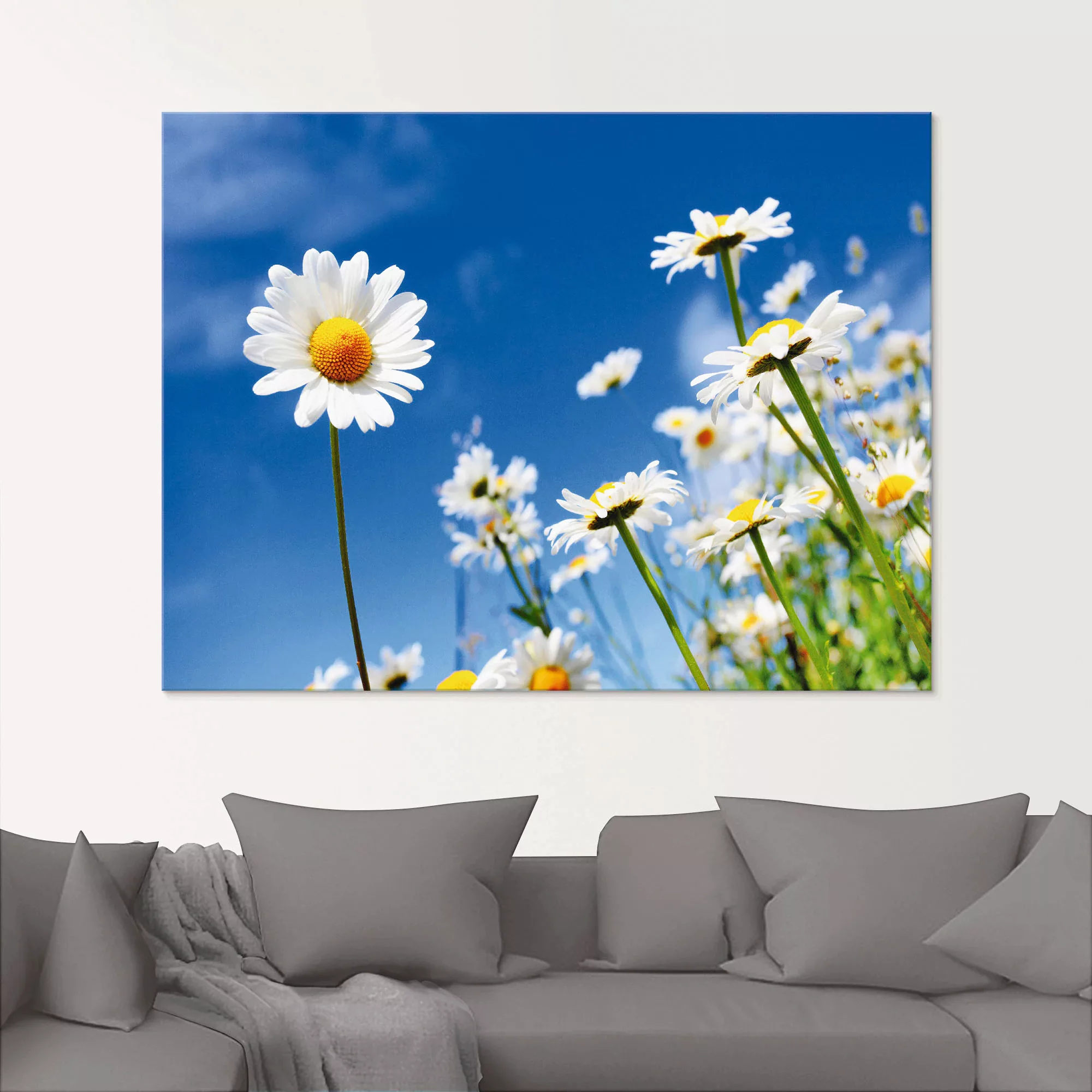 Artland Glasbild "Gänseblümchen", Blumenwiese, (1 St.), in verschiedenen Gr günstig online kaufen