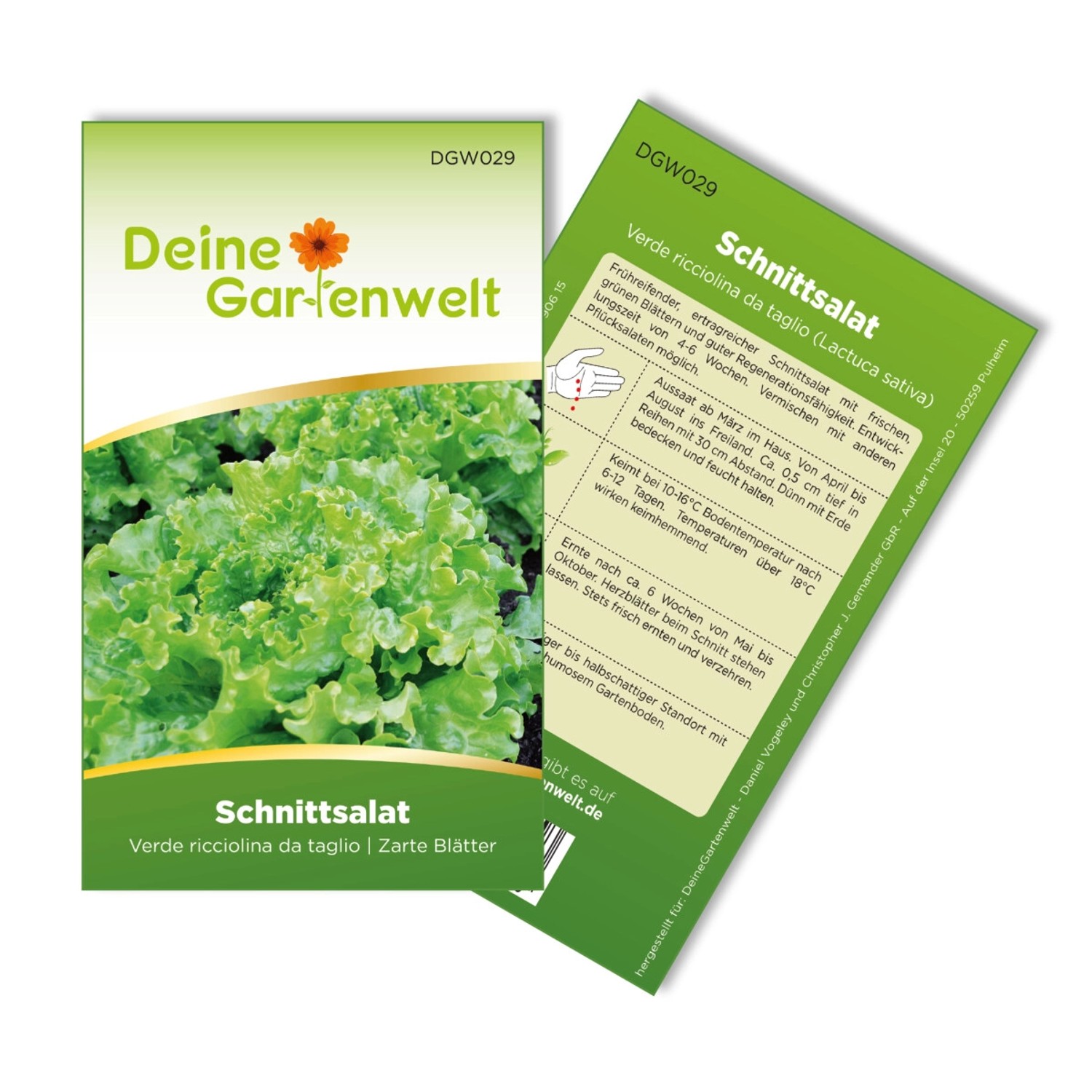 Deine Gartenwelt Schnittsalat Verde Ricciolina Da Taglio Samen günstig online kaufen