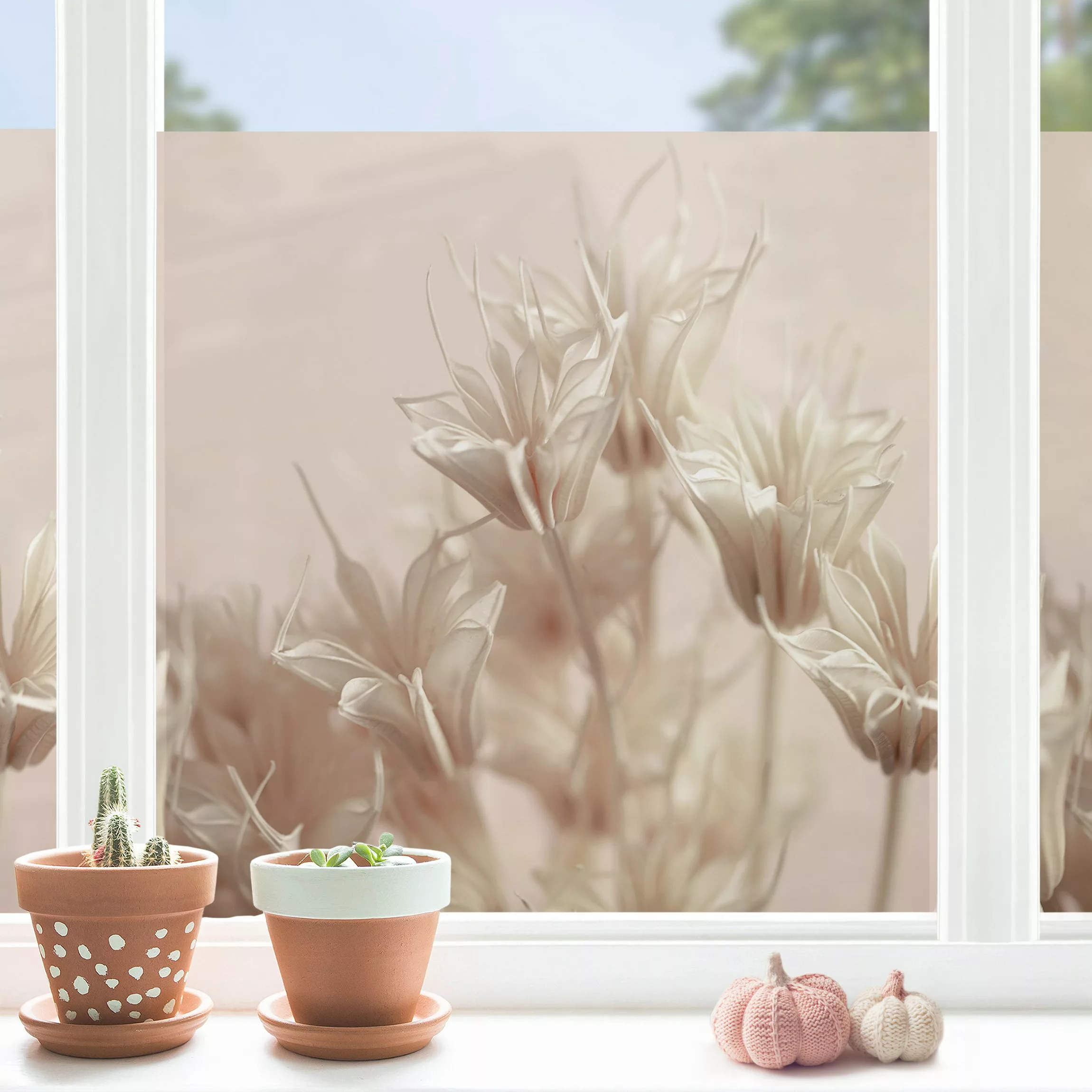Fensterfolie Sepia Trockenblumen günstig online kaufen