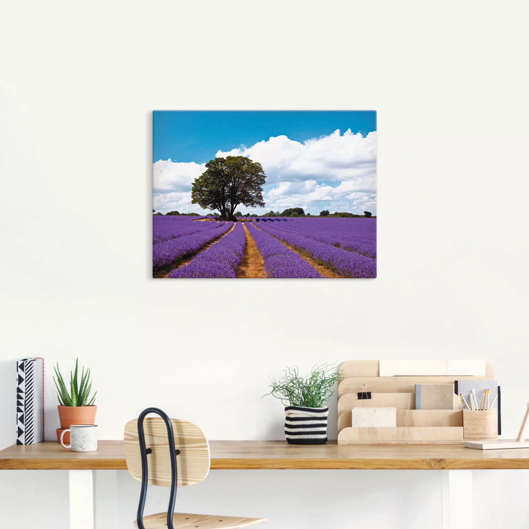 Artland Wandbild »Schönes Lavendelfeld im Sommer«, Felder, (1 St.), als Alu günstig online kaufen