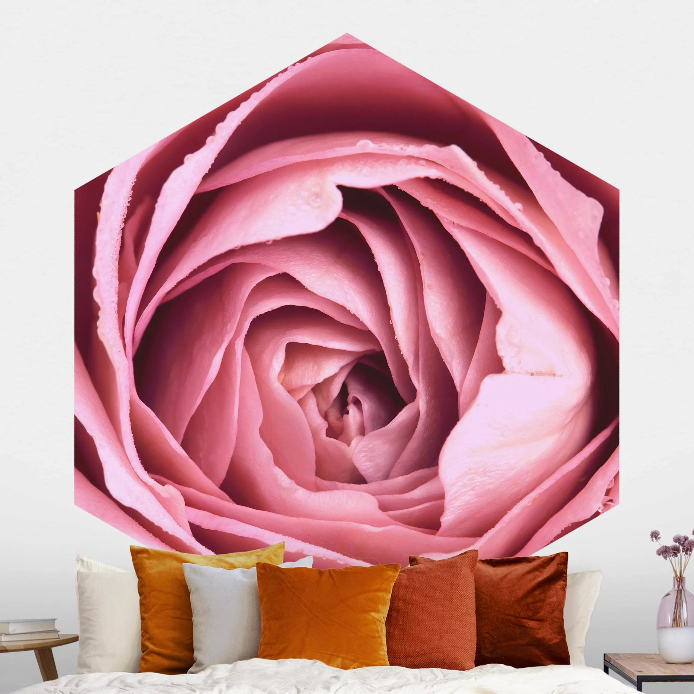 Hexagon Fototapete selbstklebend Rosa Rosenblüte günstig online kaufen