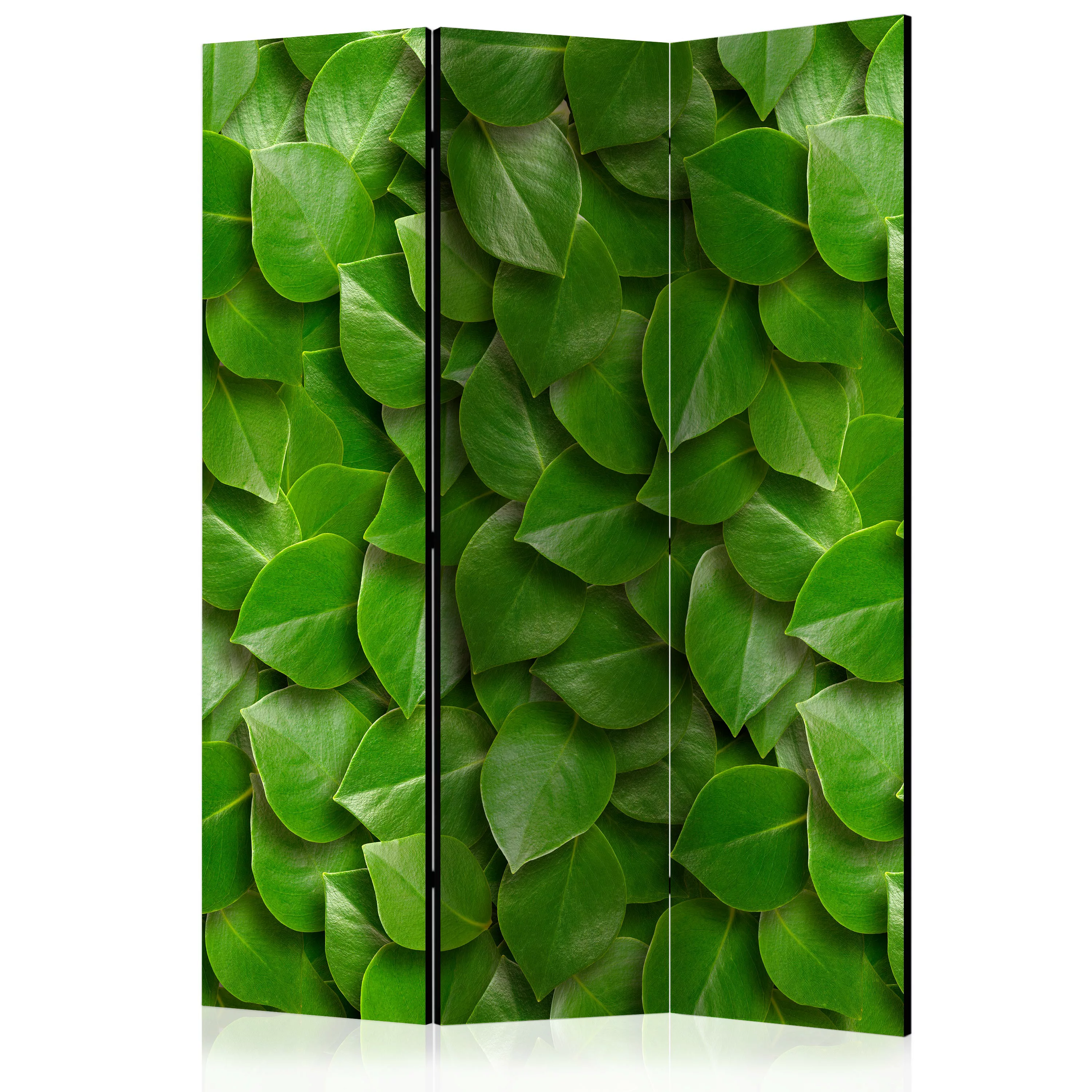 3-teiliges Paravent - Secret Garden [room Dividers] günstig online kaufen