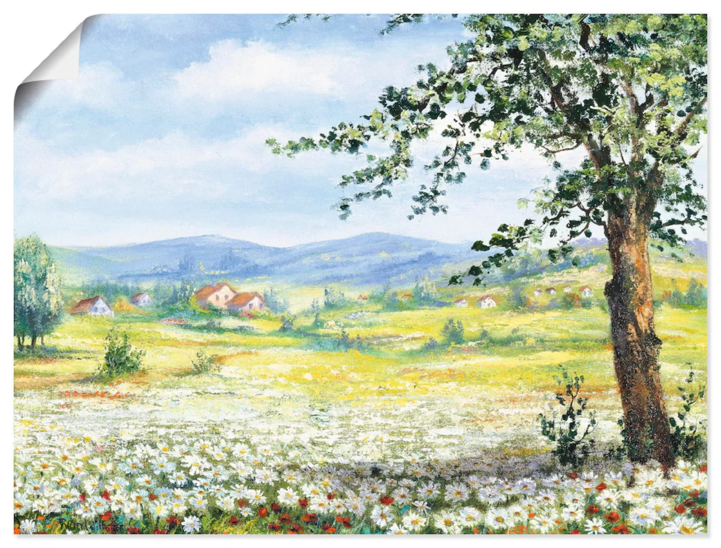 Artland Wandbild "Margeritenfeld", Wiesen & Bäume, (1 St.), als Poster, Wan günstig online kaufen