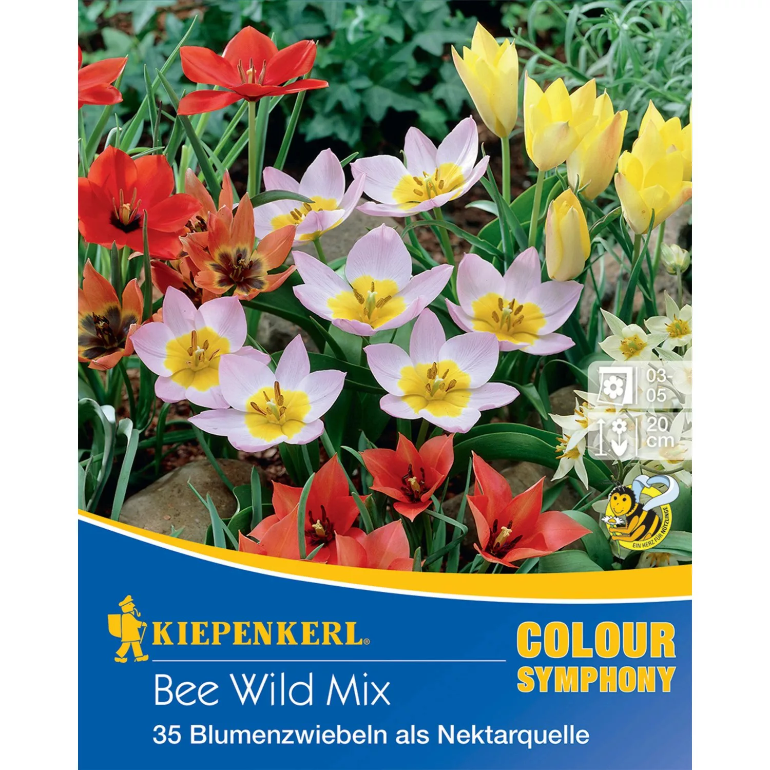 Kiepenkerl Blumenzwiebeln Colour Symphony Bee Wild Mix 35 Stück günstig online kaufen