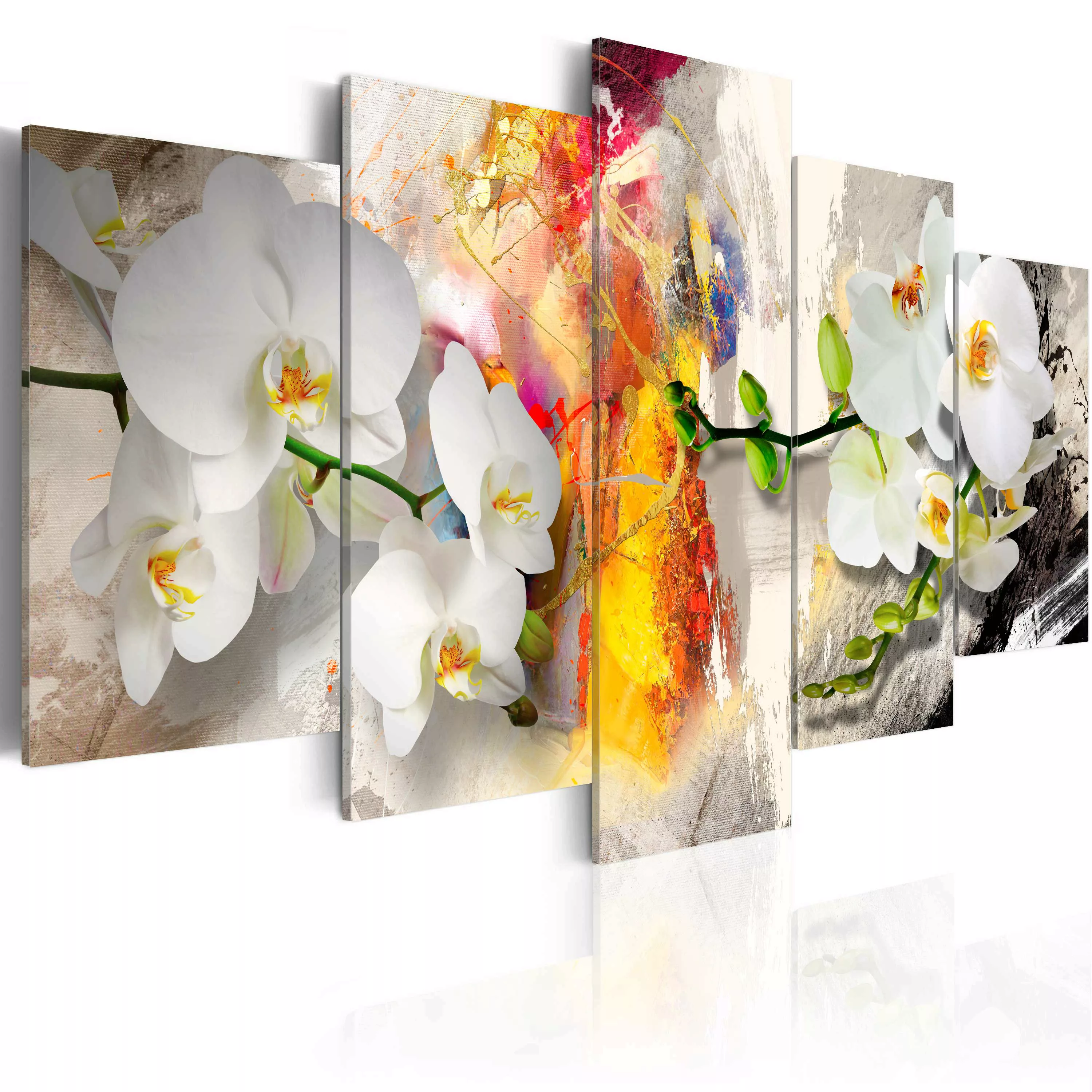 Wandbild - Die Orchidee und die Farben günstig online kaufen