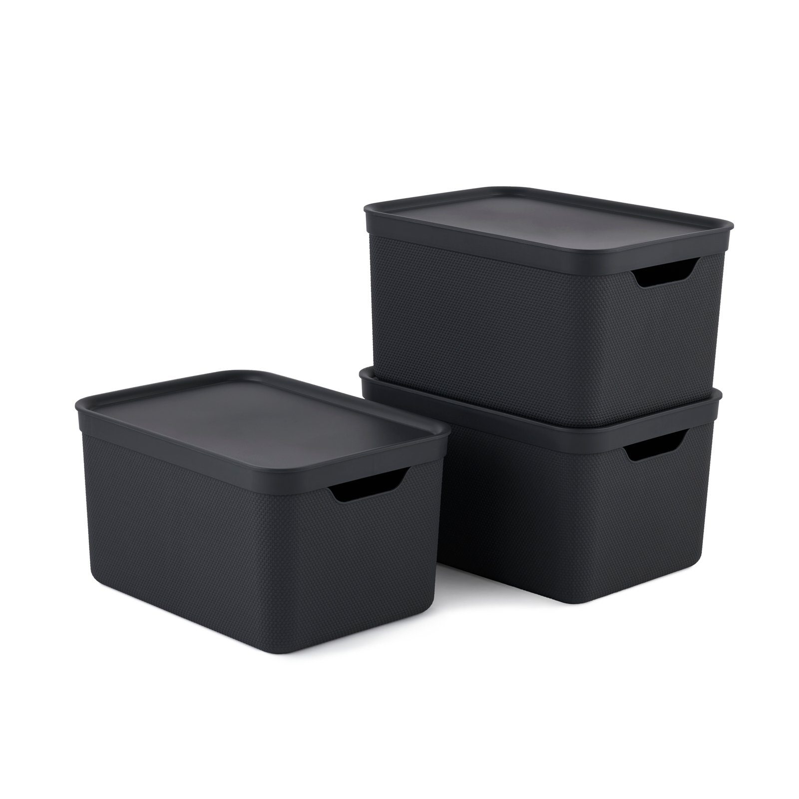 ROTHO Aufbewahrungsbox 3er- Set Aufbewahrungskorb 16l günstig online kaufen