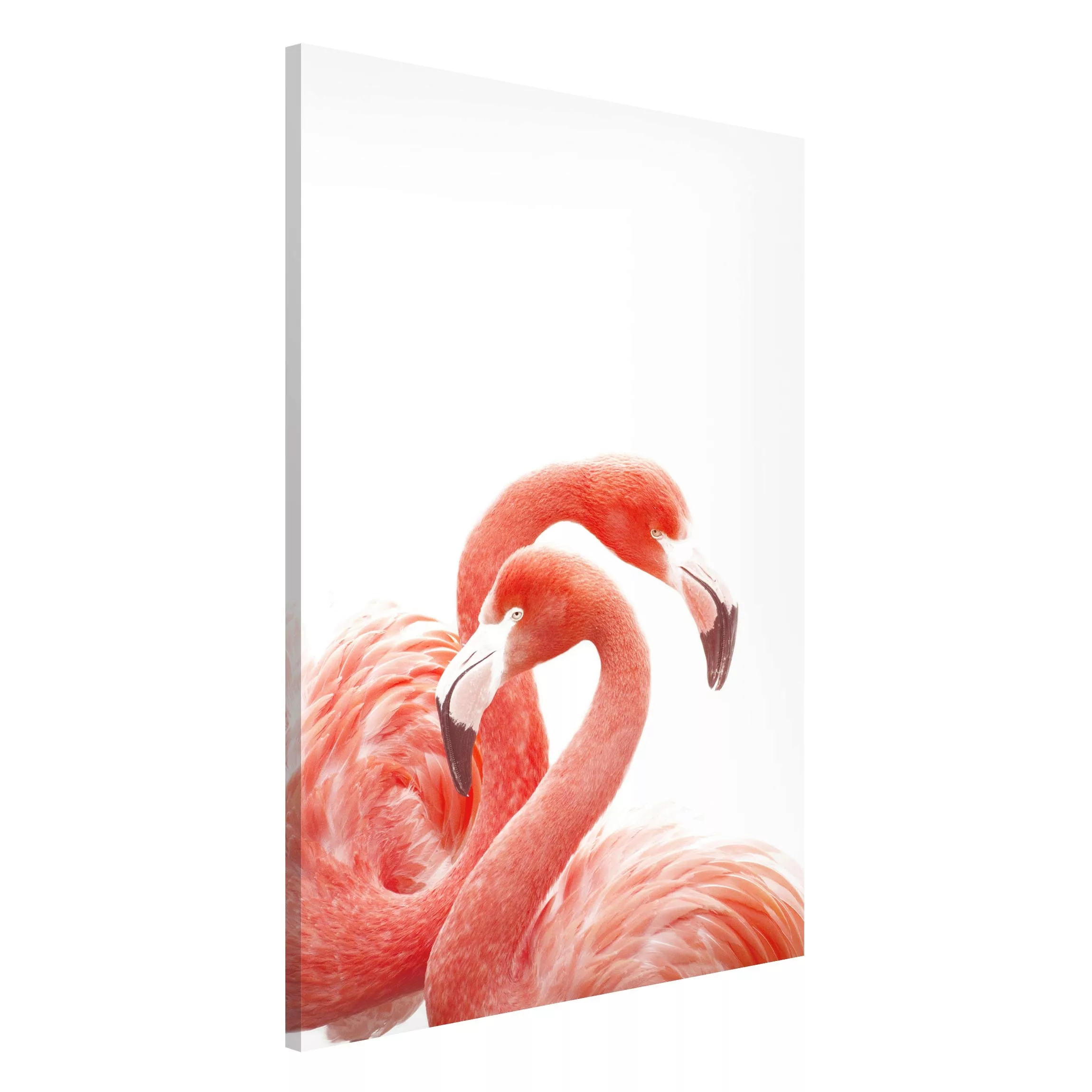 Magnettafel Zwei Flamingos günstig online kaufen