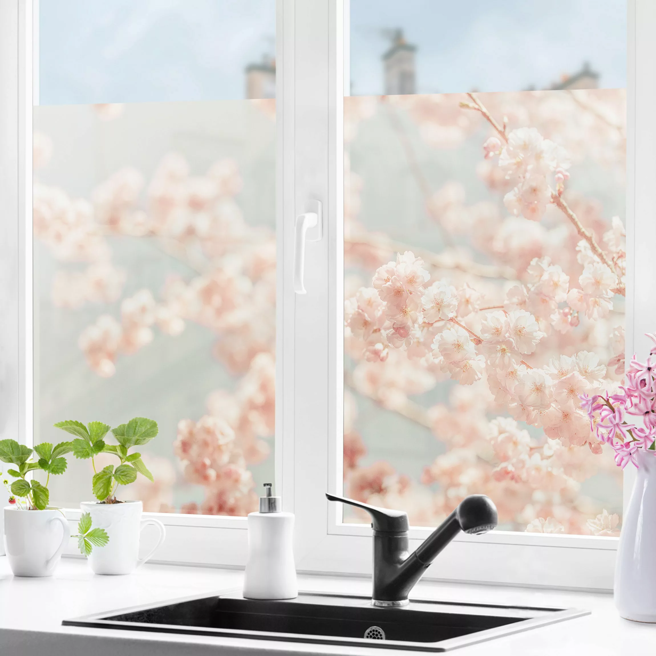 Fensterfolie Kirschblüten Glow günstig online kaufen