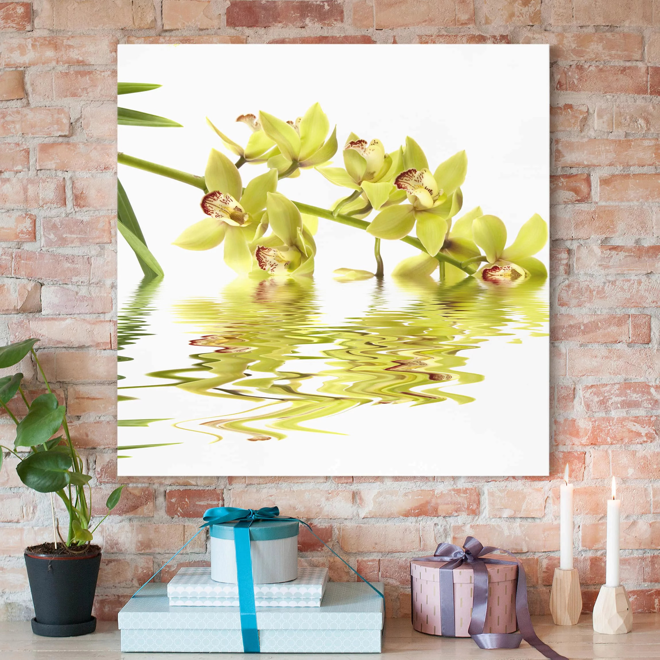 Leinwandbild Blumen - Quadrat Elegant Orchid Waters günstig online kaufen