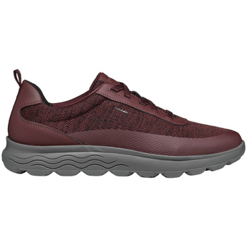 Geox  Sneaker U Spherica sneaker slip on günstig online kaufen