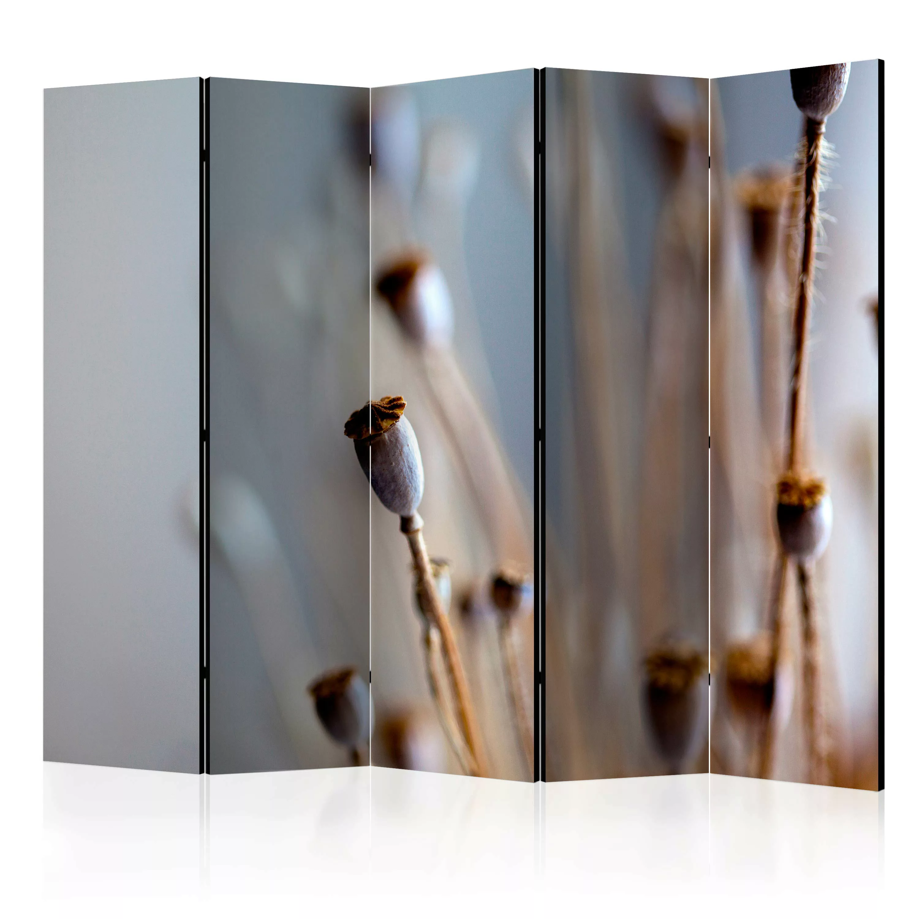 5-teiliges Paravent - Poppy Heads Ii [room Dividers] günstig online kaufen