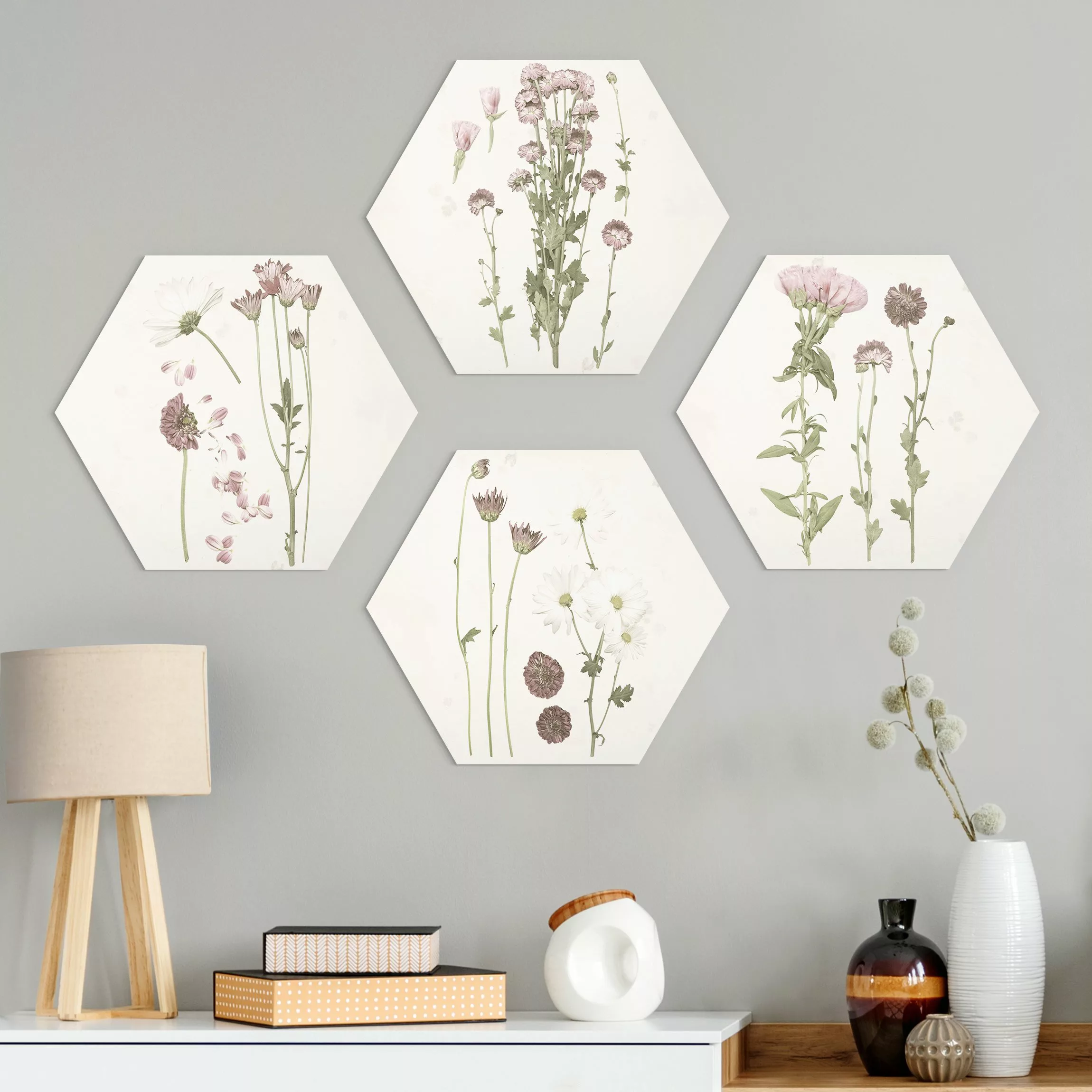 4-teiliges Hexagon-Alu-Dibond Bild Herbarium in rosa Set I günstig online kaufen