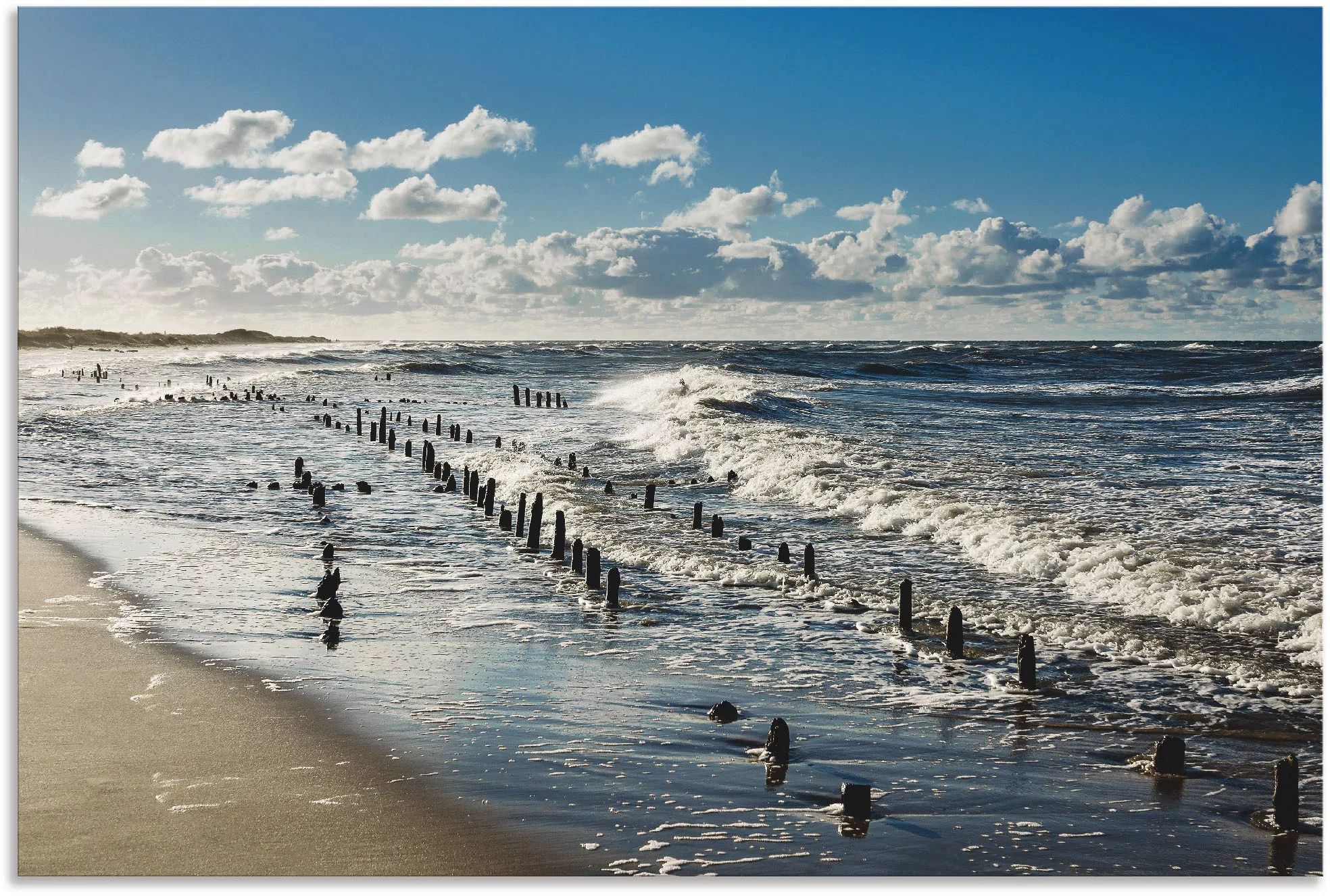 Artland Wandbild "An der Küste der Ostsee", Küste, (1 St.), als Alubild, Ou günstig online kaufen