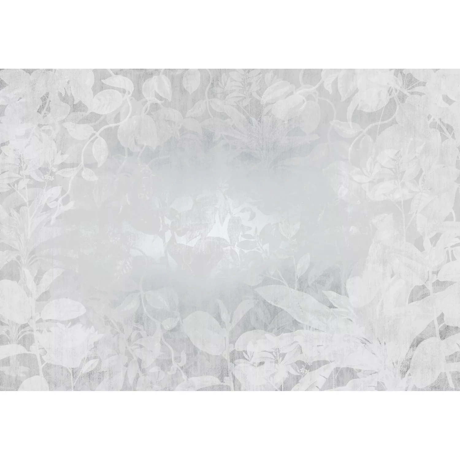 KOMAR Vlies Fototapete - Flora - Größe 400 x 280 cm mehrfarbig günstig online kaufen