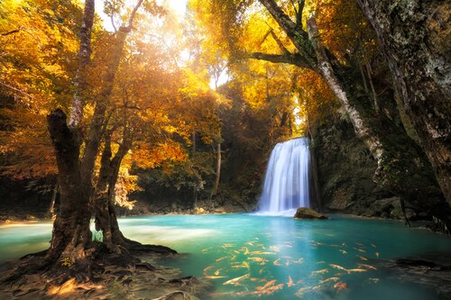 Papermoon Fototapete »Waterfall in Kanchanaburi, Thailand« günstig online kaufen