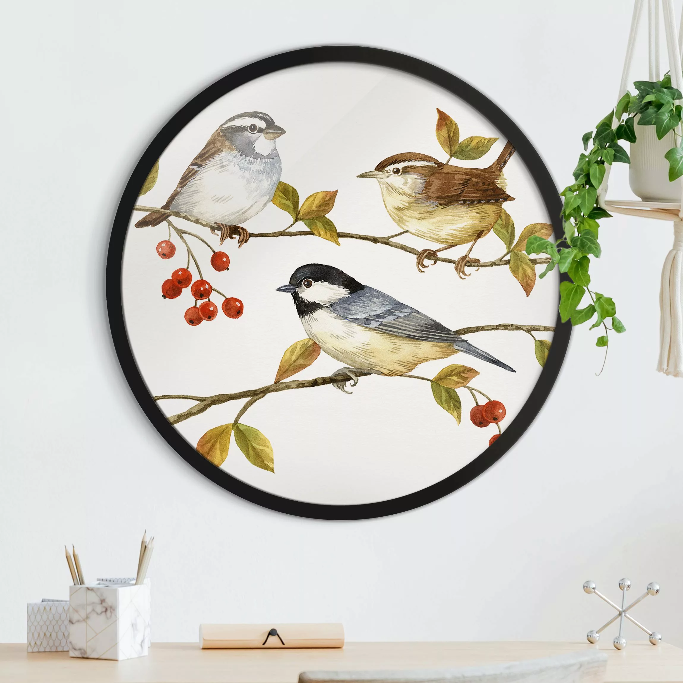 Rundes Gerahmtes Bild Vögel und Beeren - Meisen günstig online kaufen
