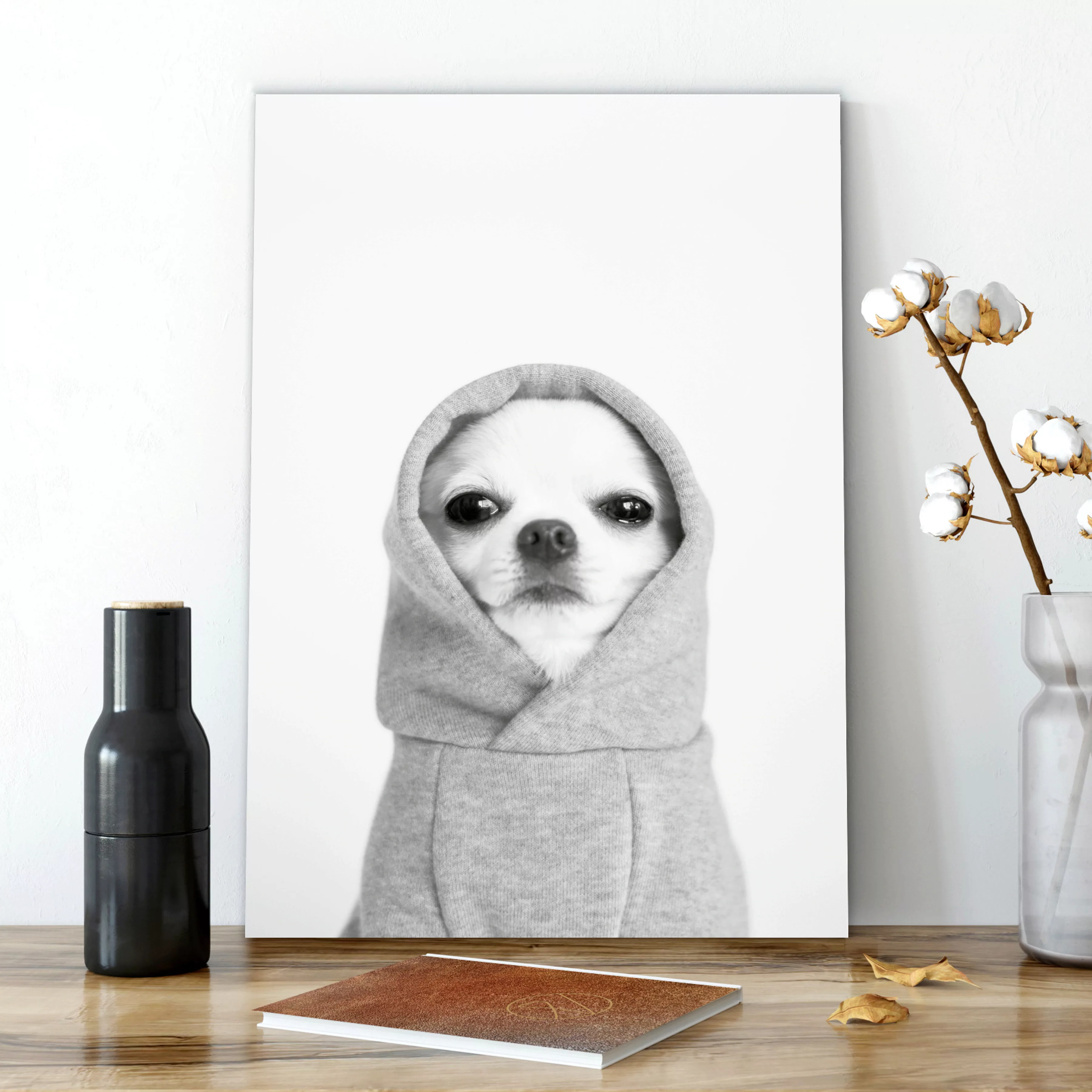 MySpotti Alu-Dibond-Druck "Artfix Pacco", Hunde günstig online kaufen