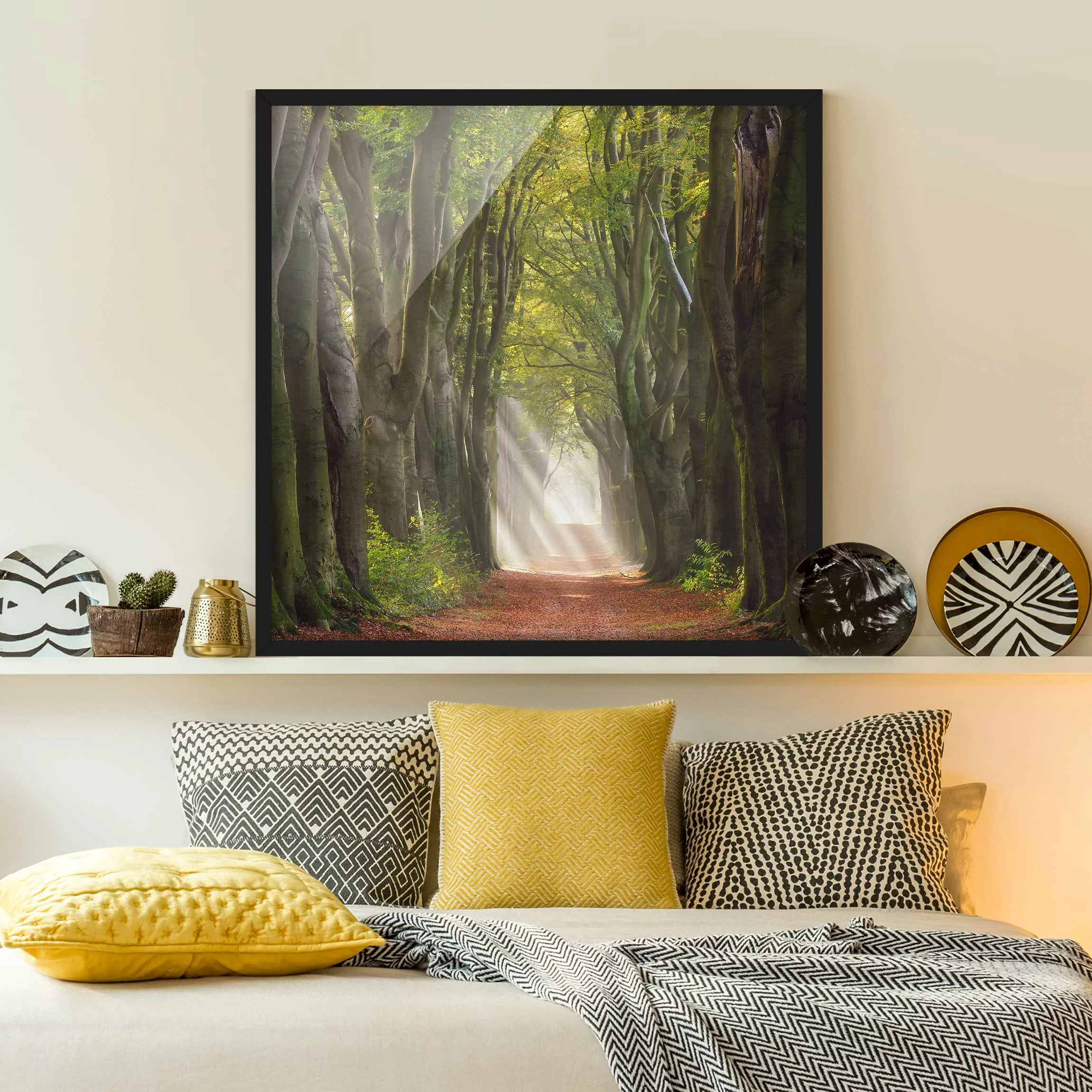 Bild mit Rahmen Natur & Landschaft - Quadrat Herrlicher Tag im Wald günstig online kaufen