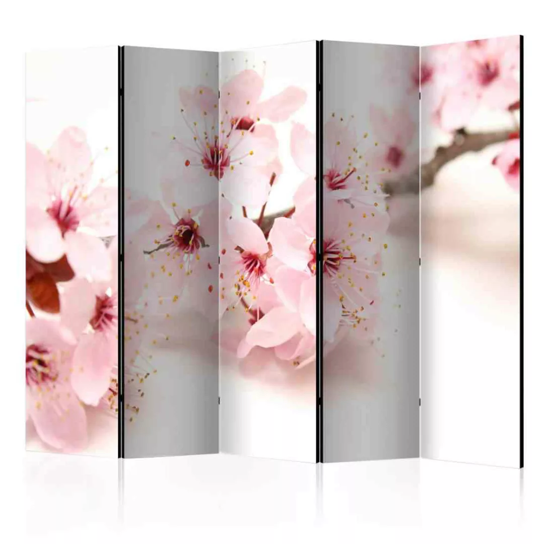 Spanischer Raumteiler mit Kirschblüten 5 teilig günstig online kaufen
