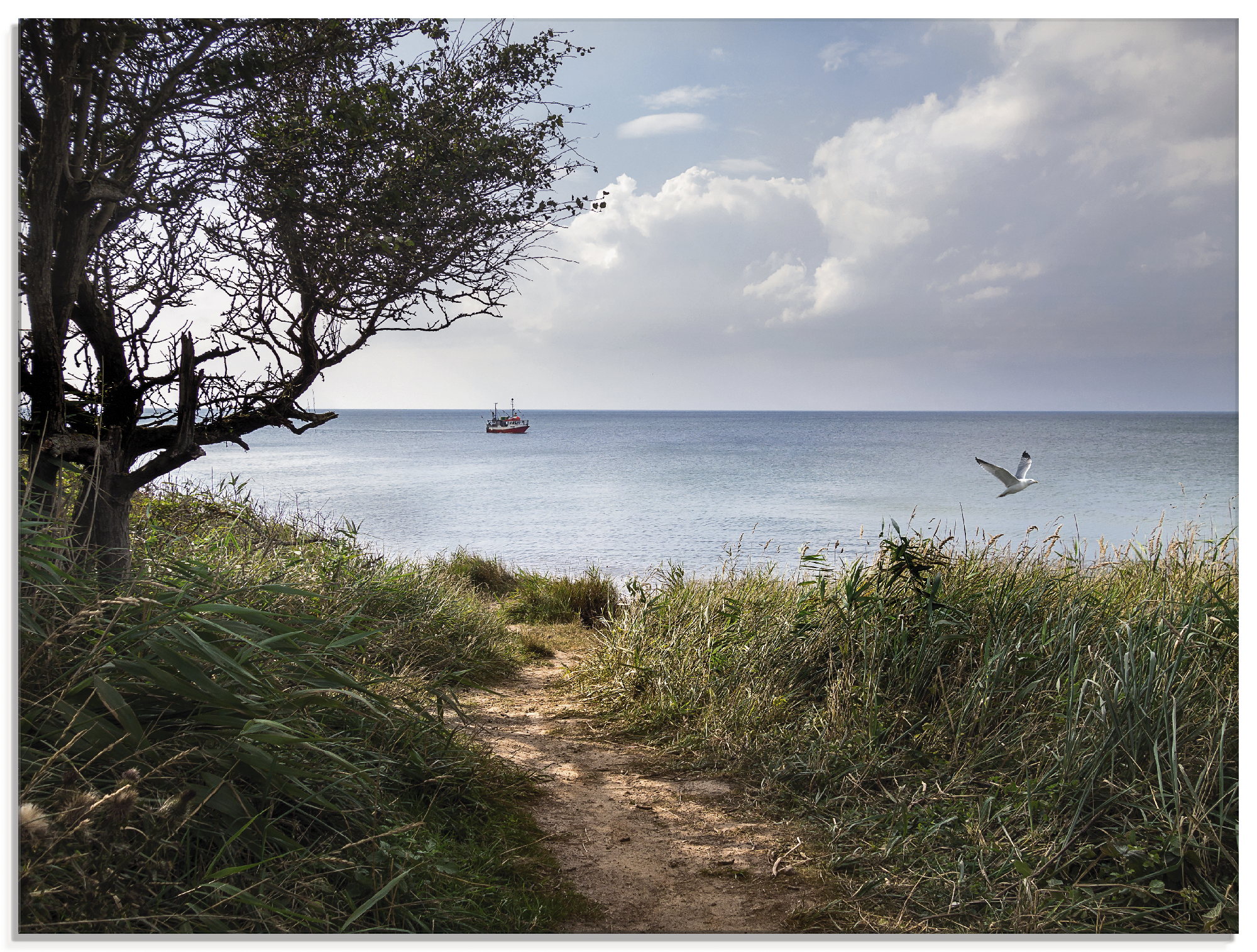 Artland Glasbild "Wege zum Meer....", Gewässer, (1 St.), in verschiedenen G günstig online kaufen