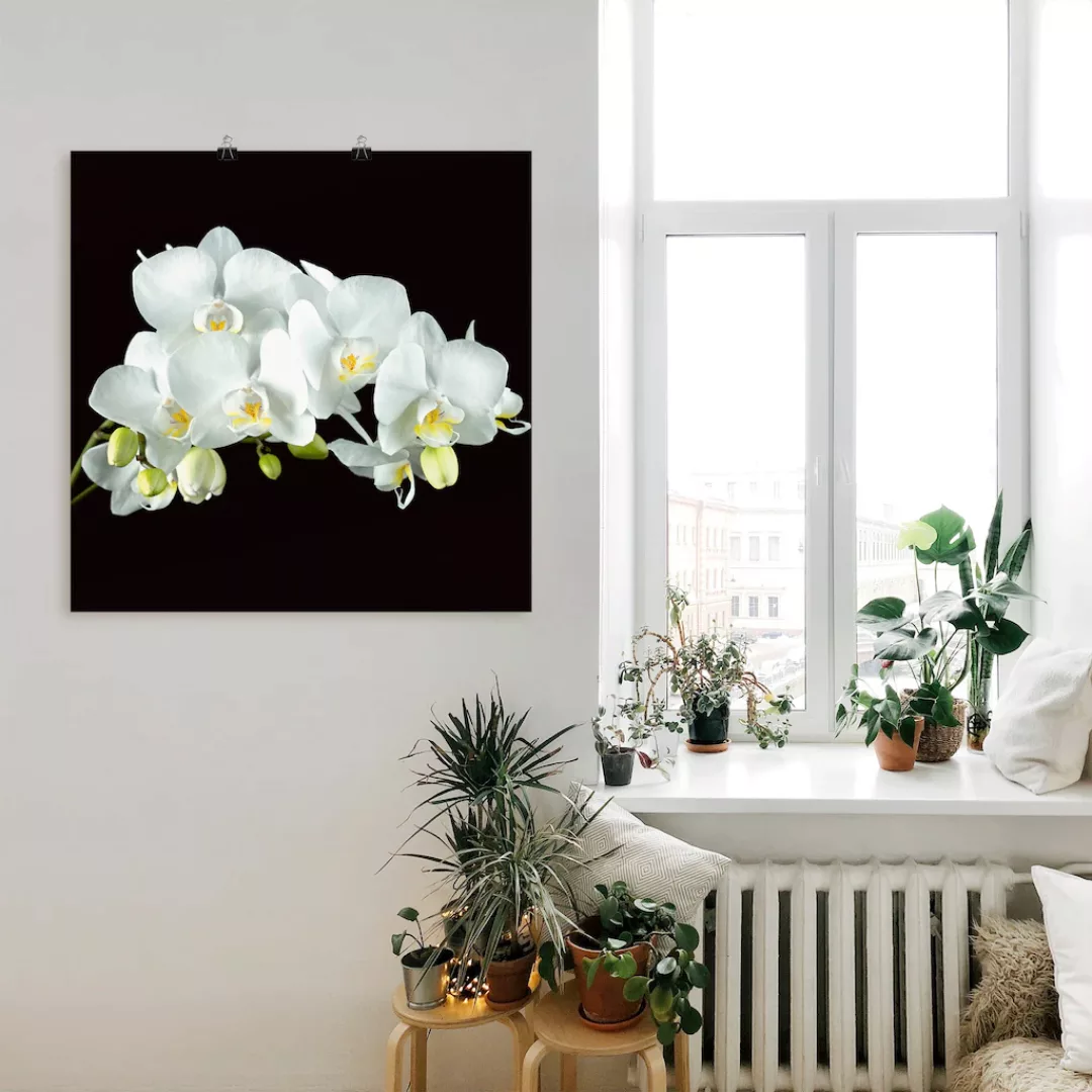 Artland Wandbild "Weiße Orchidee auf schwarzem Hintergrund", Blumen, (1 St. günstig online kaufen