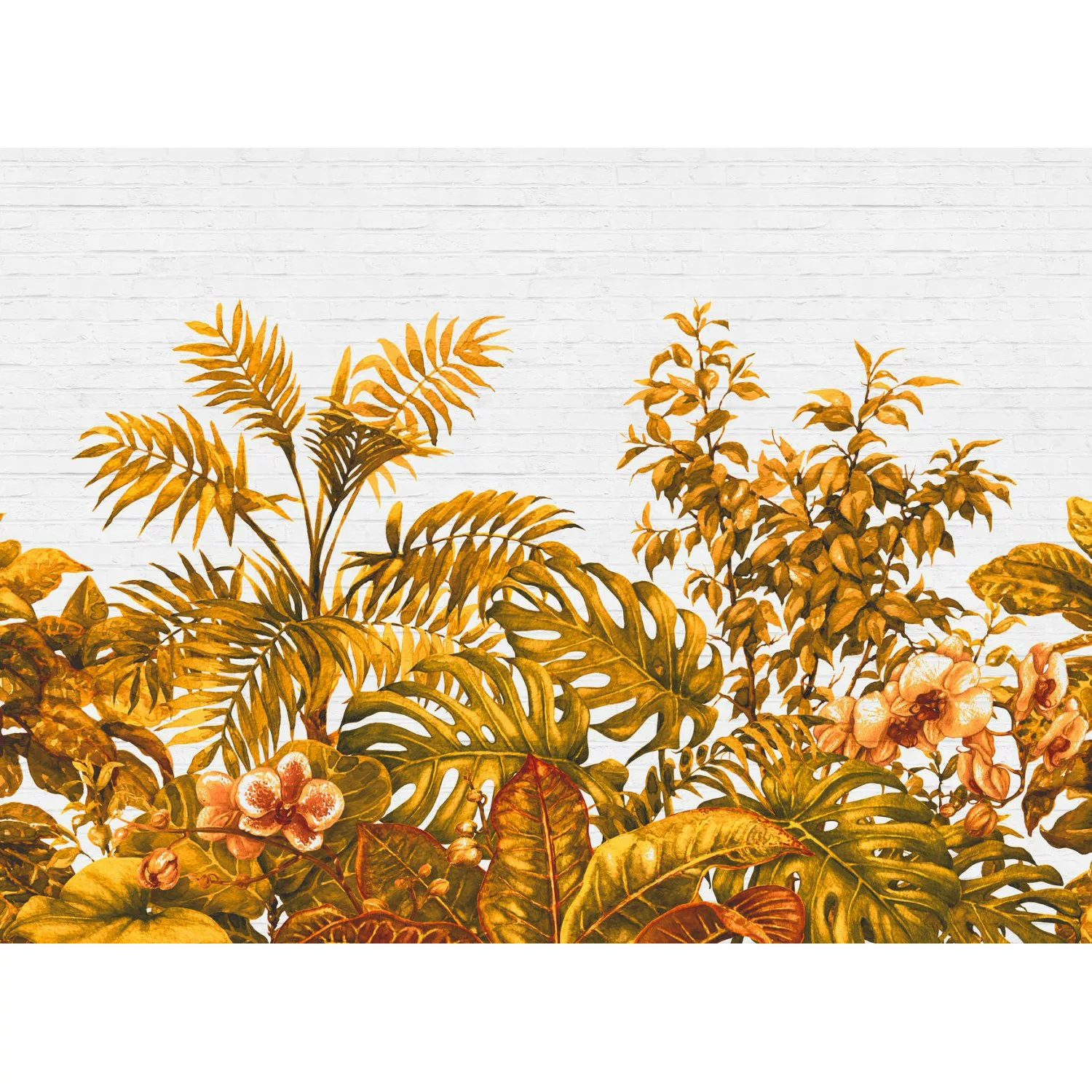 Fototapete Dschungel Palmen Steinwand Orange Weiß 3,50 m x 2,55 m FSC® günstig online kaufen